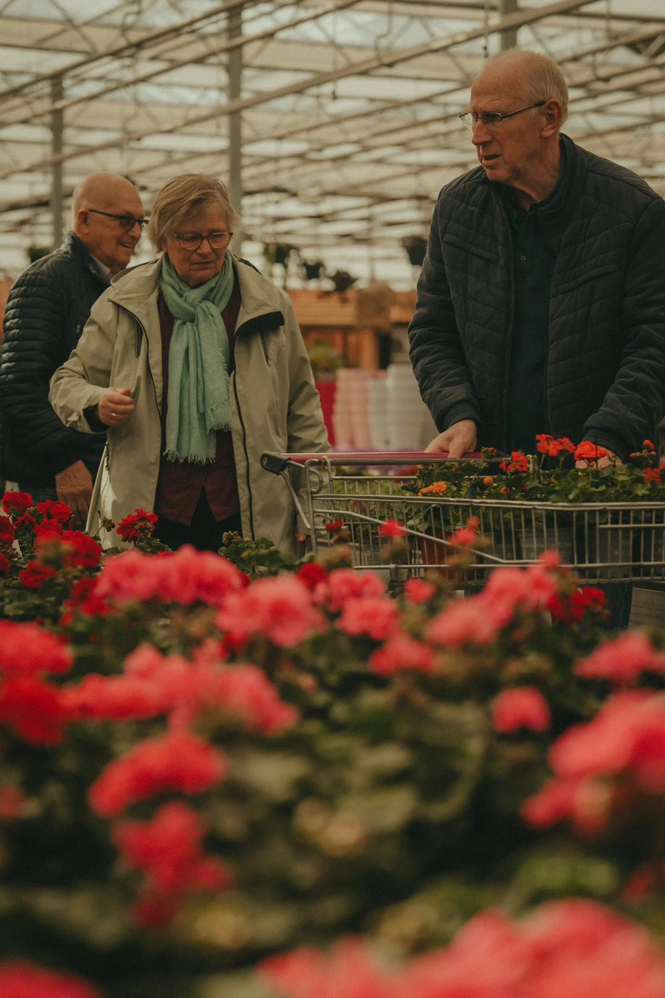 Three elderly people shopping for flowers inside a greenhouse or garden center. Two men and one woman looking at plants among pink and orange flowers.