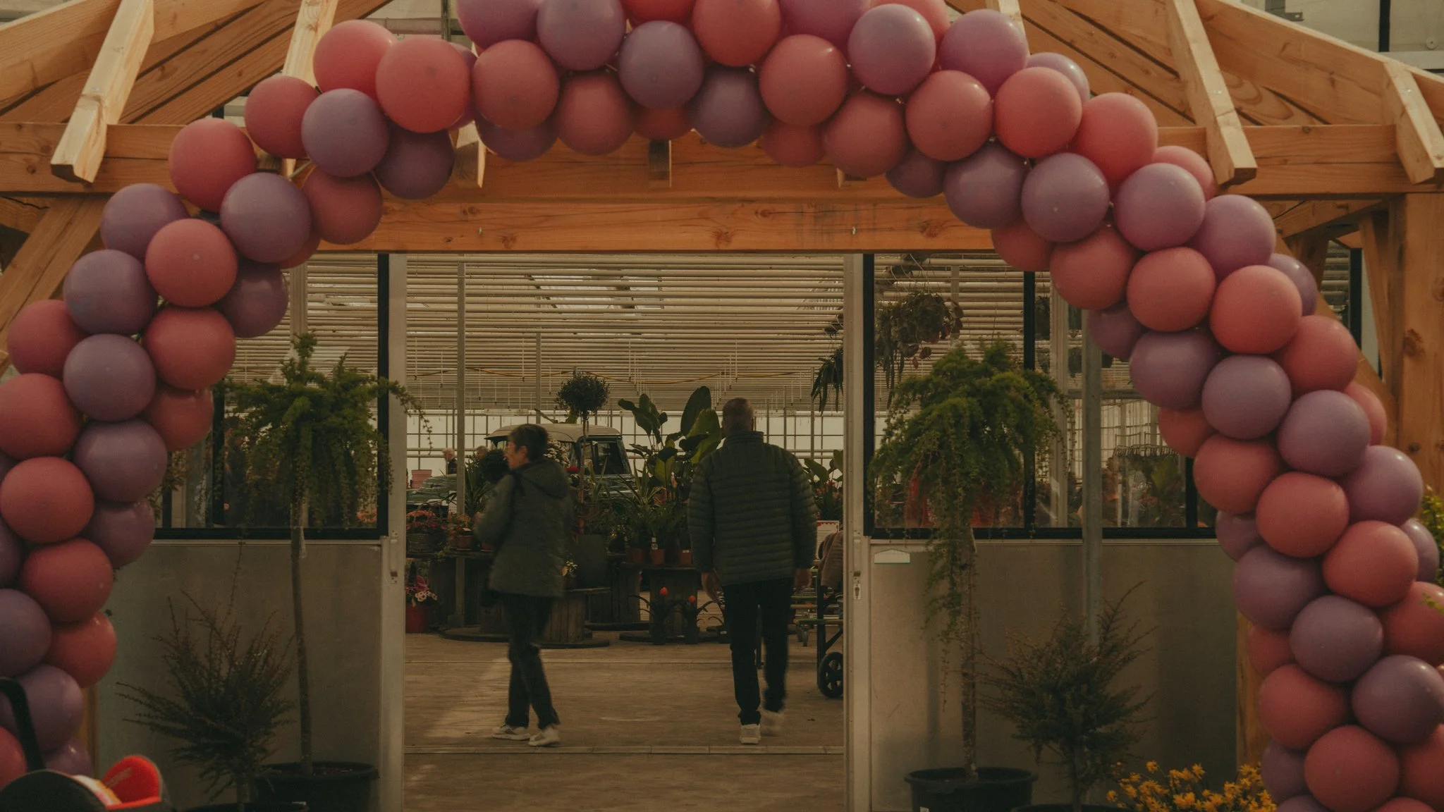 A decorative arch made of pink and purple balloons at the entrance of a greenhouse or plant nursery. Inside, there are potted plants and people browsing.