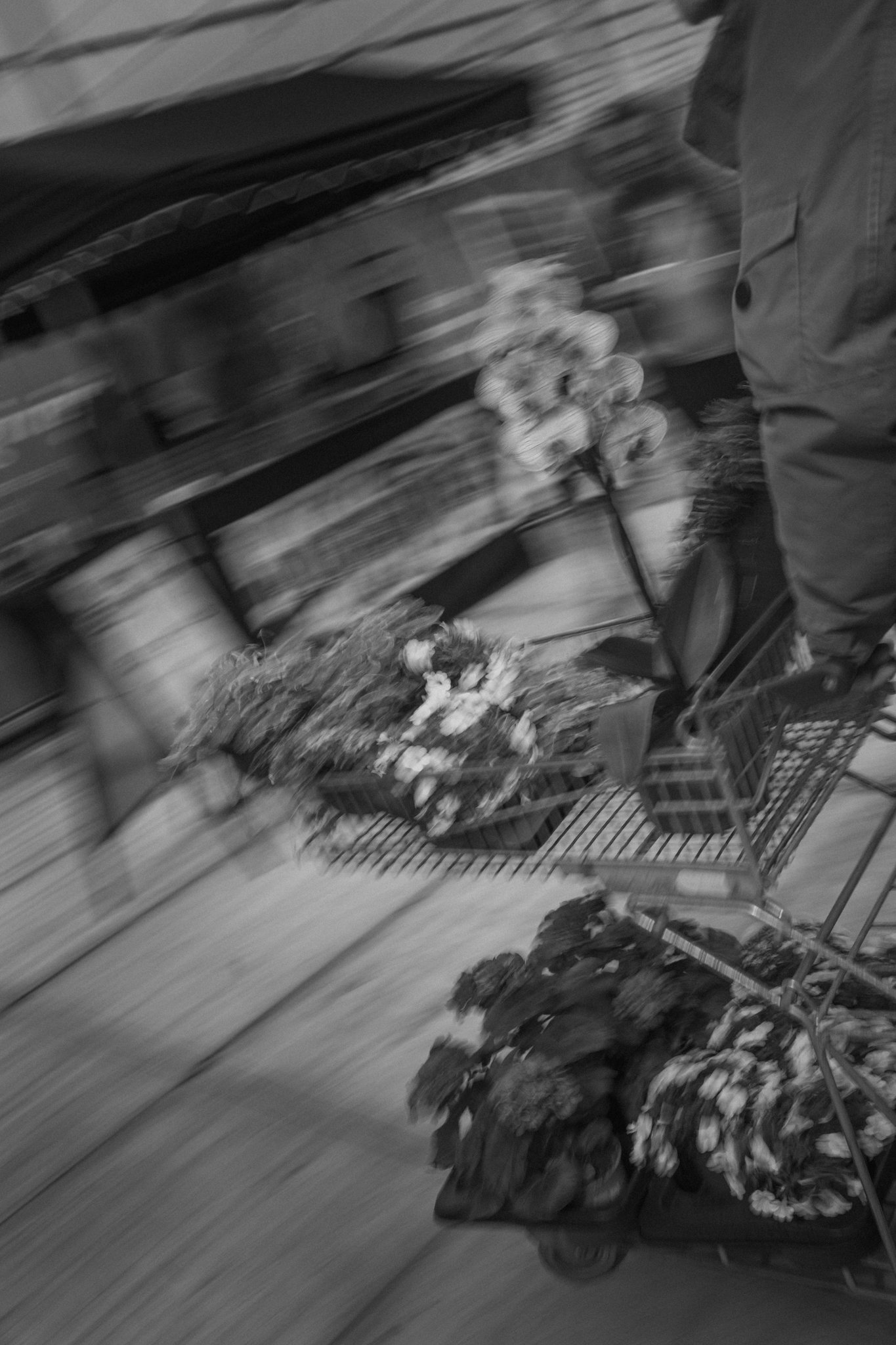 A person pushing a shopping cart filled with groceries indoors, with shelves full of products in the background. The image is in black and white and appears blurry.