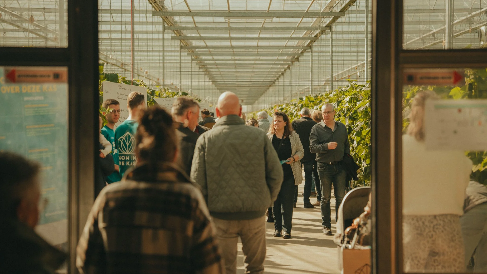 People inside a greenhouse or plant nursery, some reading signs and engaging in conversation, with large green plants on the shelves.
