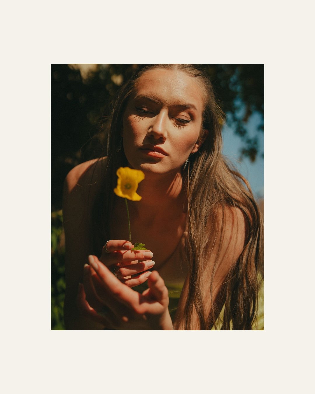 DAISYSFRAME-DF26UB-C17.jpg