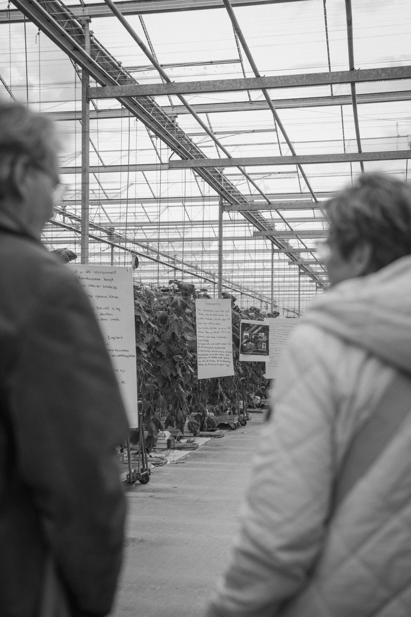 Two people seen from behind inside a large greenhouse with glass ceiling panels, surrounded by plants and informational posters.