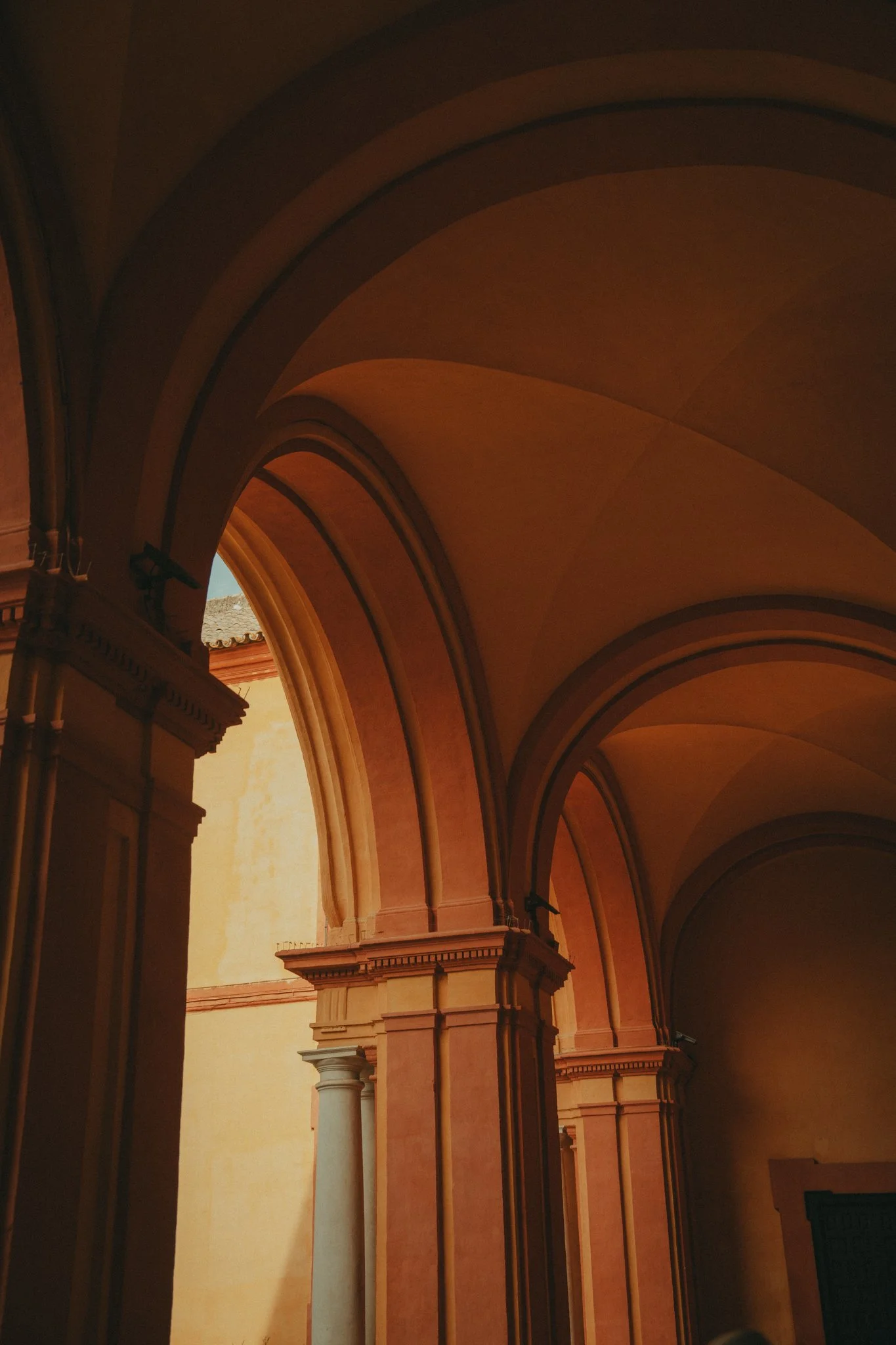 Arched ceiling architecture with columns in a building, illuminated by natural sunlight.
