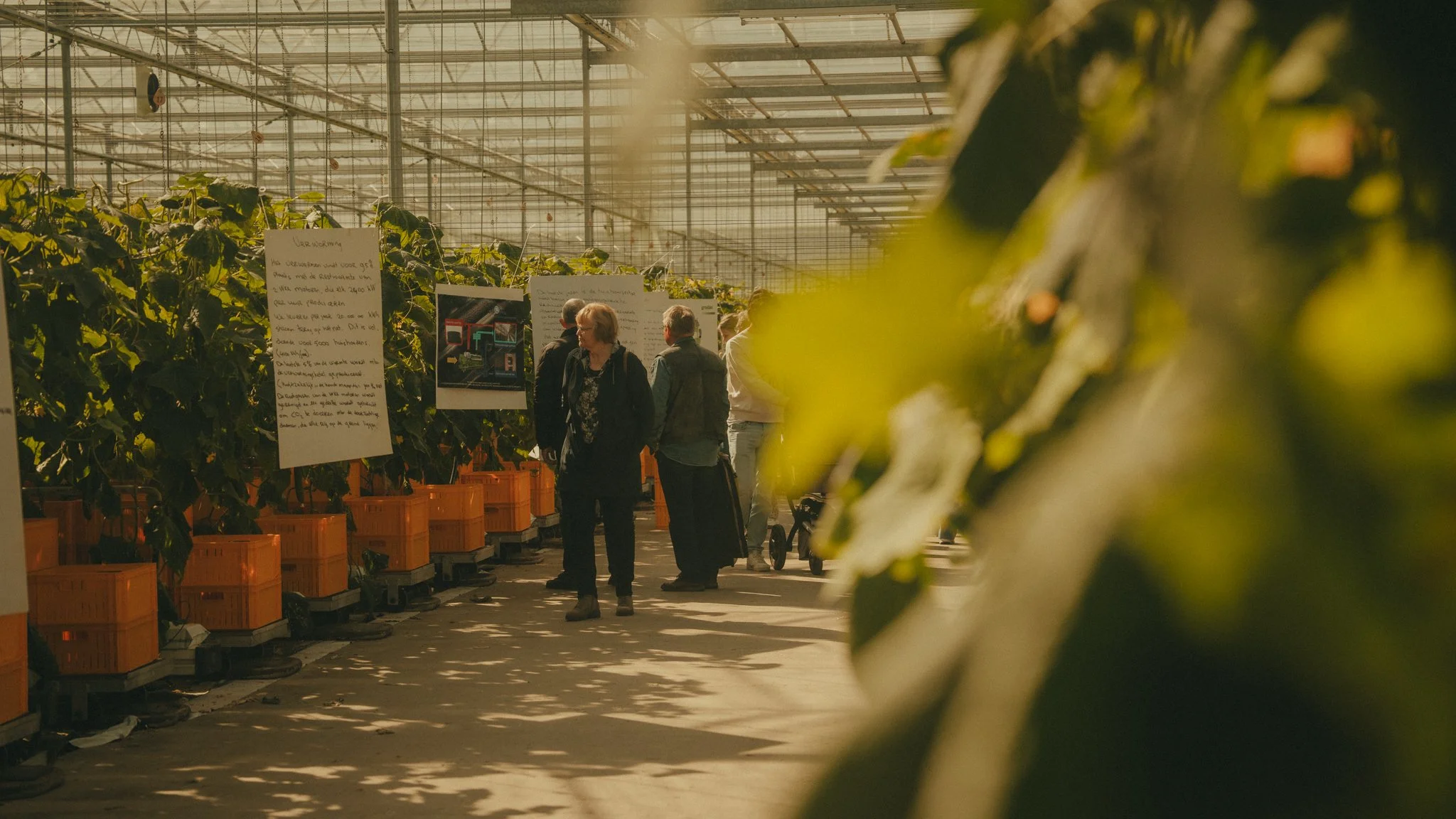 People shopping for plants inside a greenhouse, surrounded by rows of plants in orange containers, with informational signs visible among the greenery.