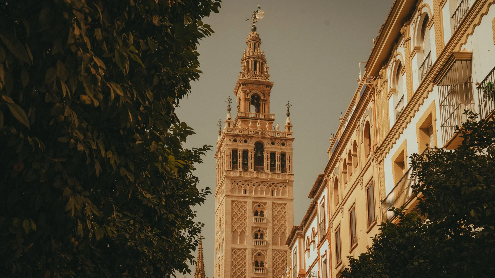 A tall clock tower with intricate architectural details, surrounded by buildings with balconies, and partially obscured by leafy trees, under a clear sky.