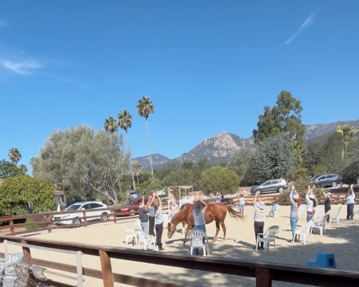 Participants gathered in a circle in the arena at The Horse Project Santa Barbara, with horses present nearby.