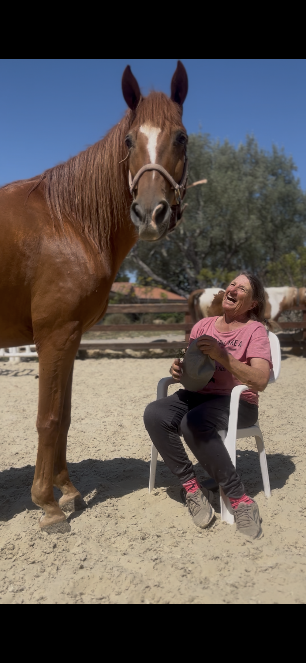 Linda Kiefer, Project Leader of The Horse Project Santa Barbara, laughing beside Diego in the arena