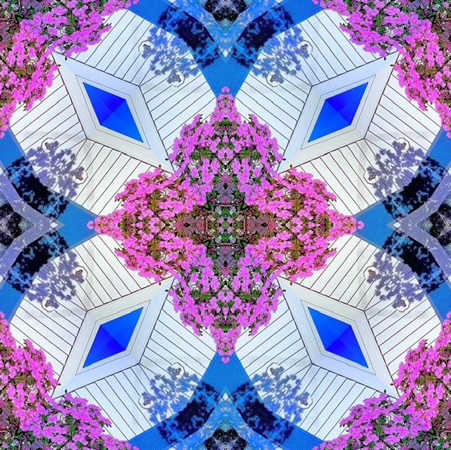 The Azalea Inititive
