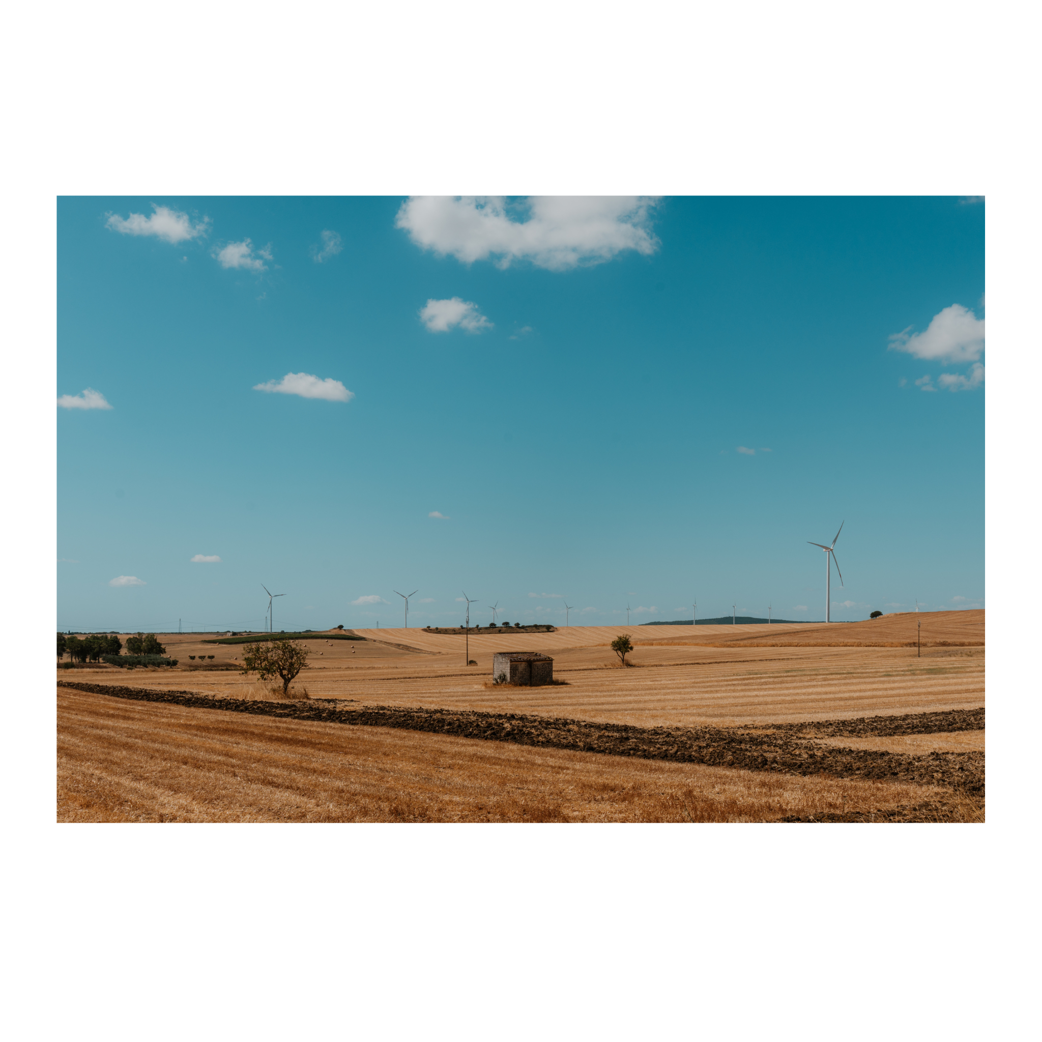 Open Fields 1.png (Copy) (Copy)