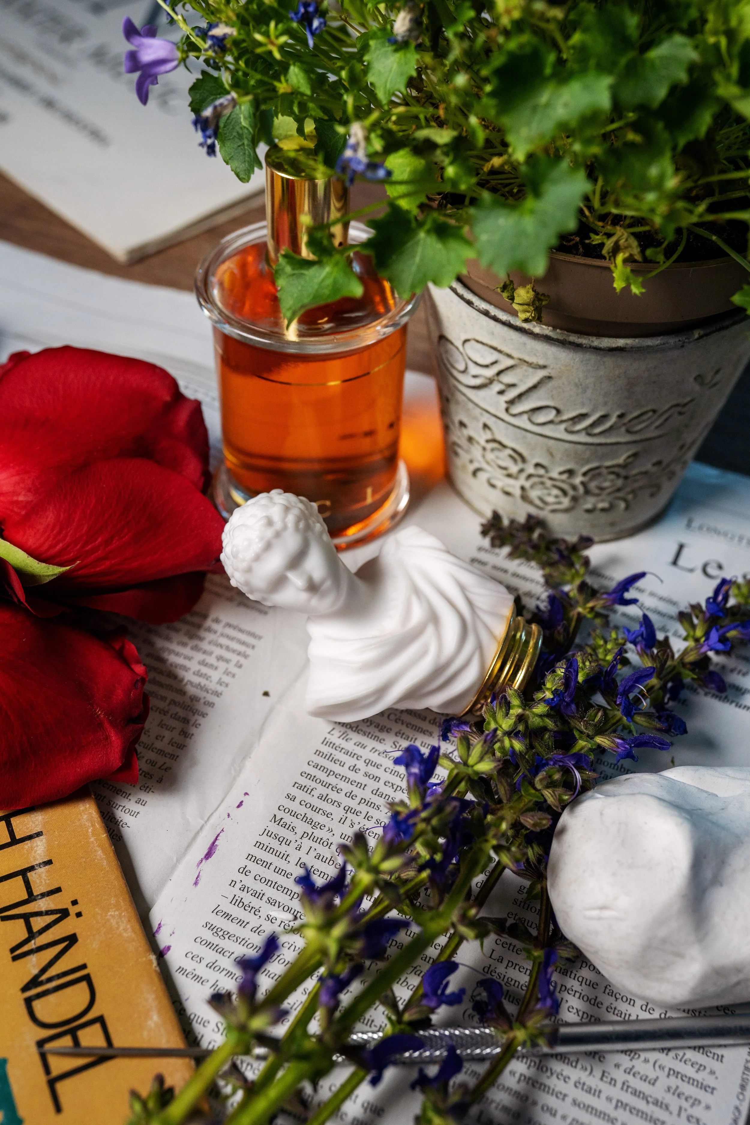 Chypre Palatin