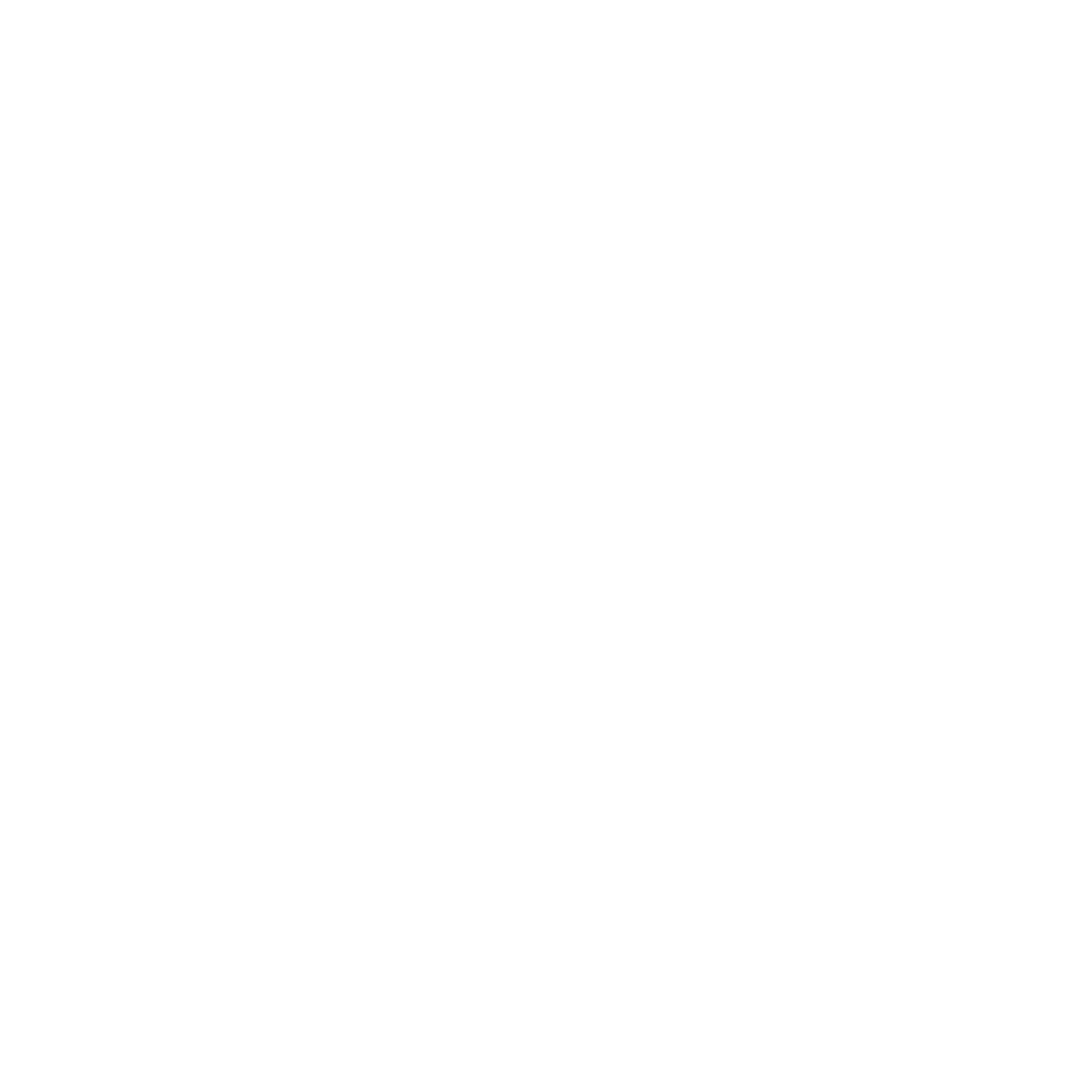 Black background with white text reading 'DMZ Boutique' in a stylish serif font, with 'Boutique' written in cursive script below.