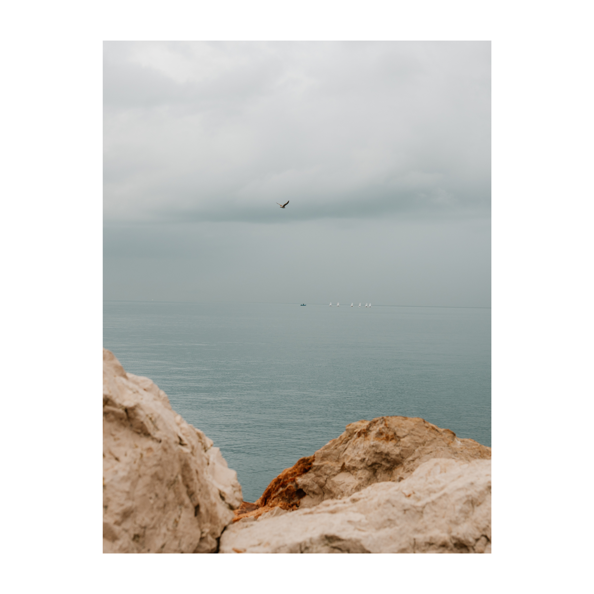 Between Horizon and Flight 1.png (Copy)