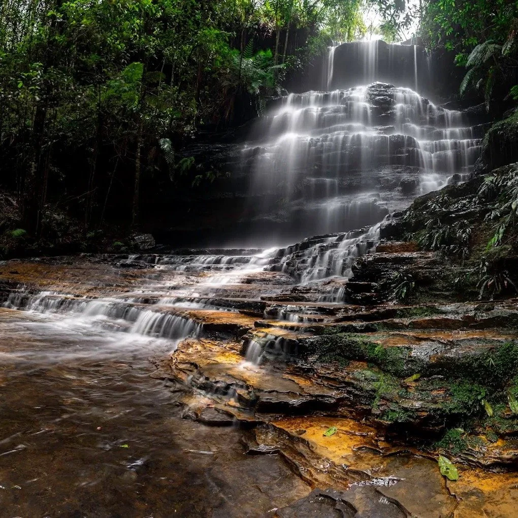 The South Lawson Waterfall Circuit is a hidden gem for those seeking maximum beauty with moderate effort. This 3km loop winds through lush, temperate rainforest and follows a creek line that reveals four distinct cascades: Adelina, Junction, Federal,