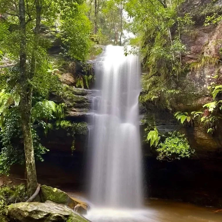Located near Hazelbrook, Horseshoe Falls is a hidden gem that offers a more magical experience than the region's larger walks. 

The trail leads into a cave behind the veil of water offering views through the mist, and by night, the cave ceiling tran