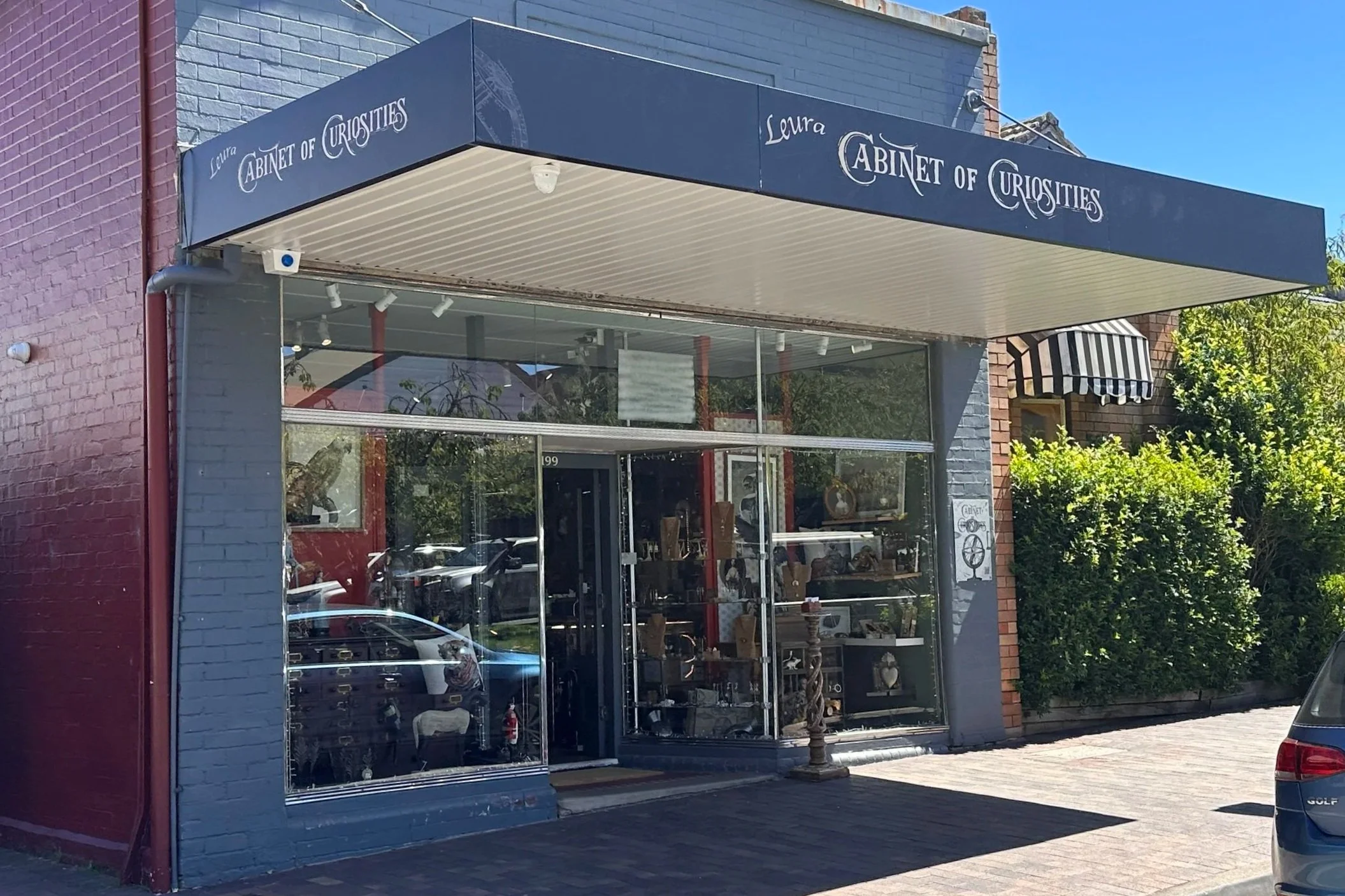 Cabinet of Curiosities, Leura