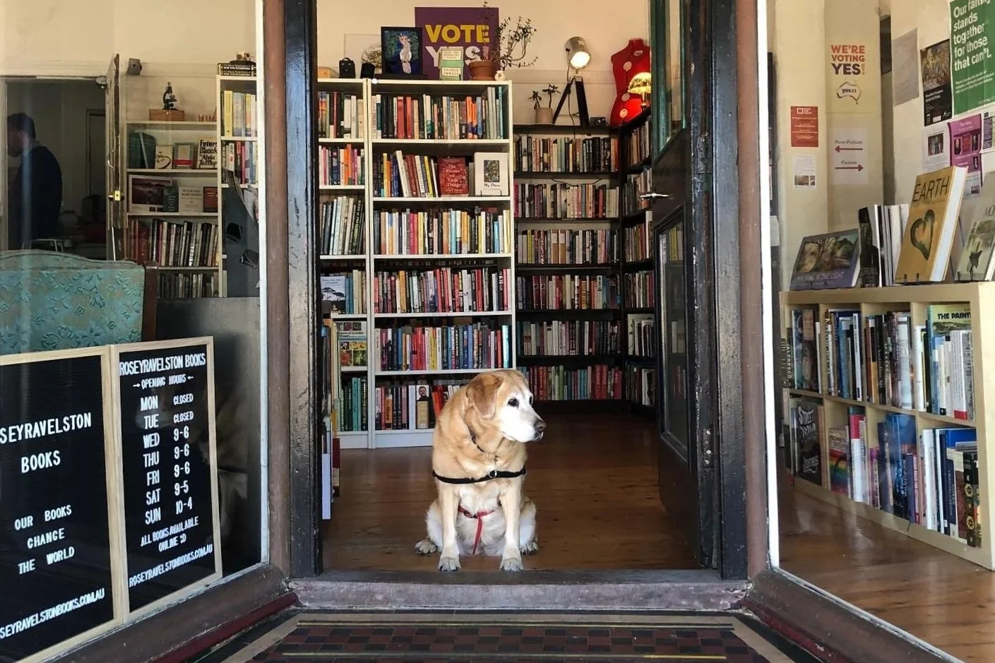 Rosey Ravelston bookshop, Lawson