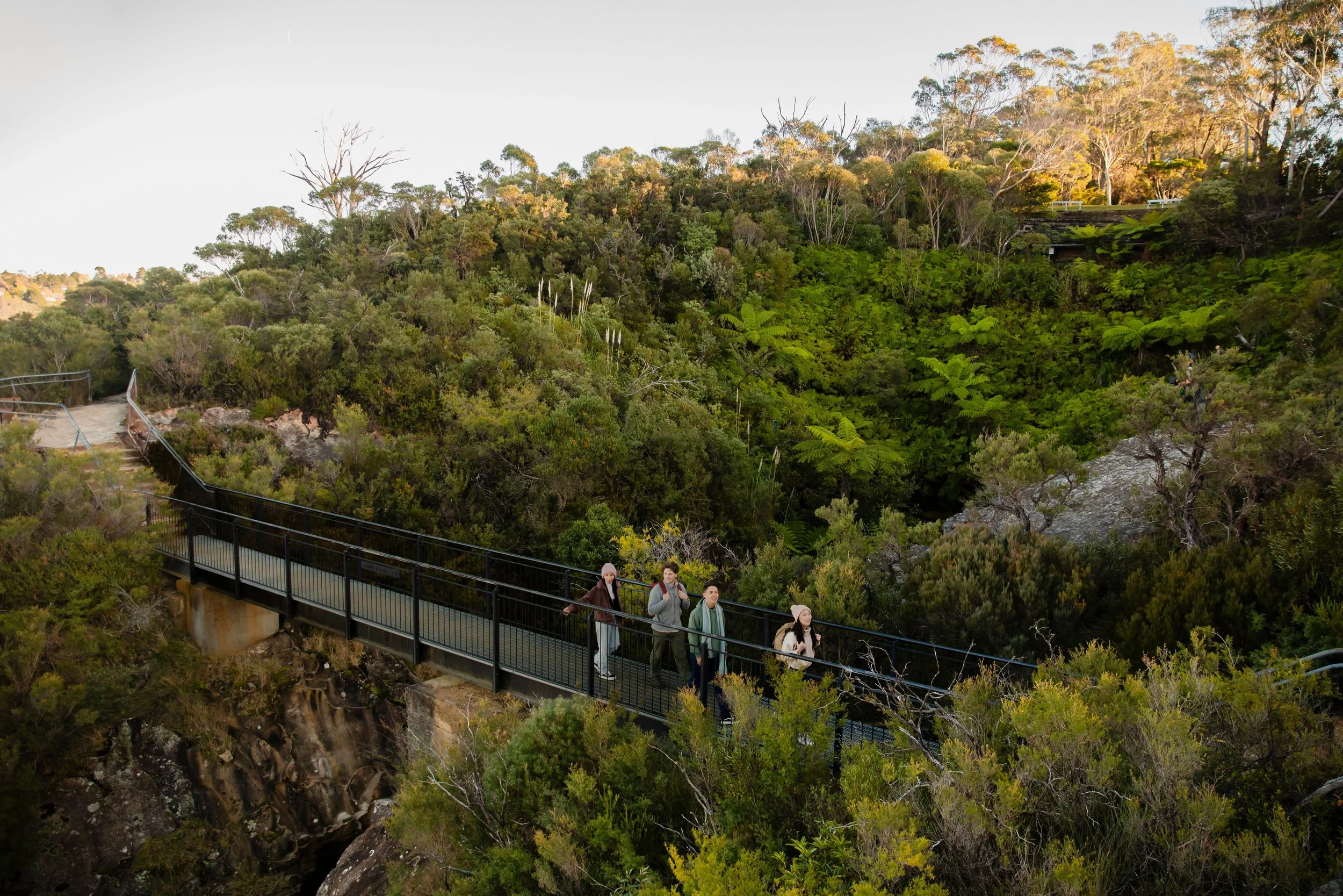 Four people walking on a bridge through a lush green forested area with trees and bushes, in daylight.
