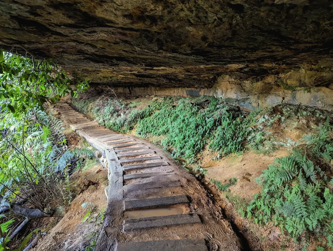 Overcliff-Undercliff Track