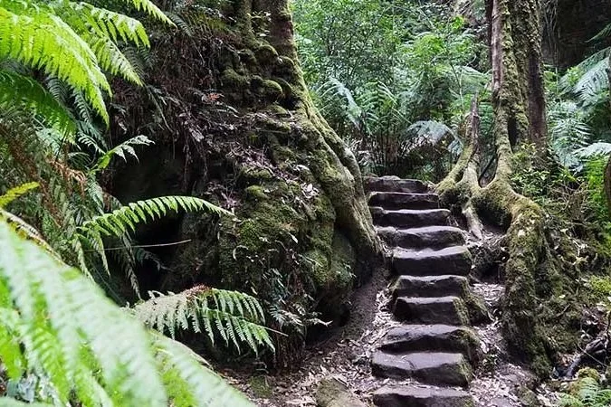 Grand Canyon Track, Blackheath