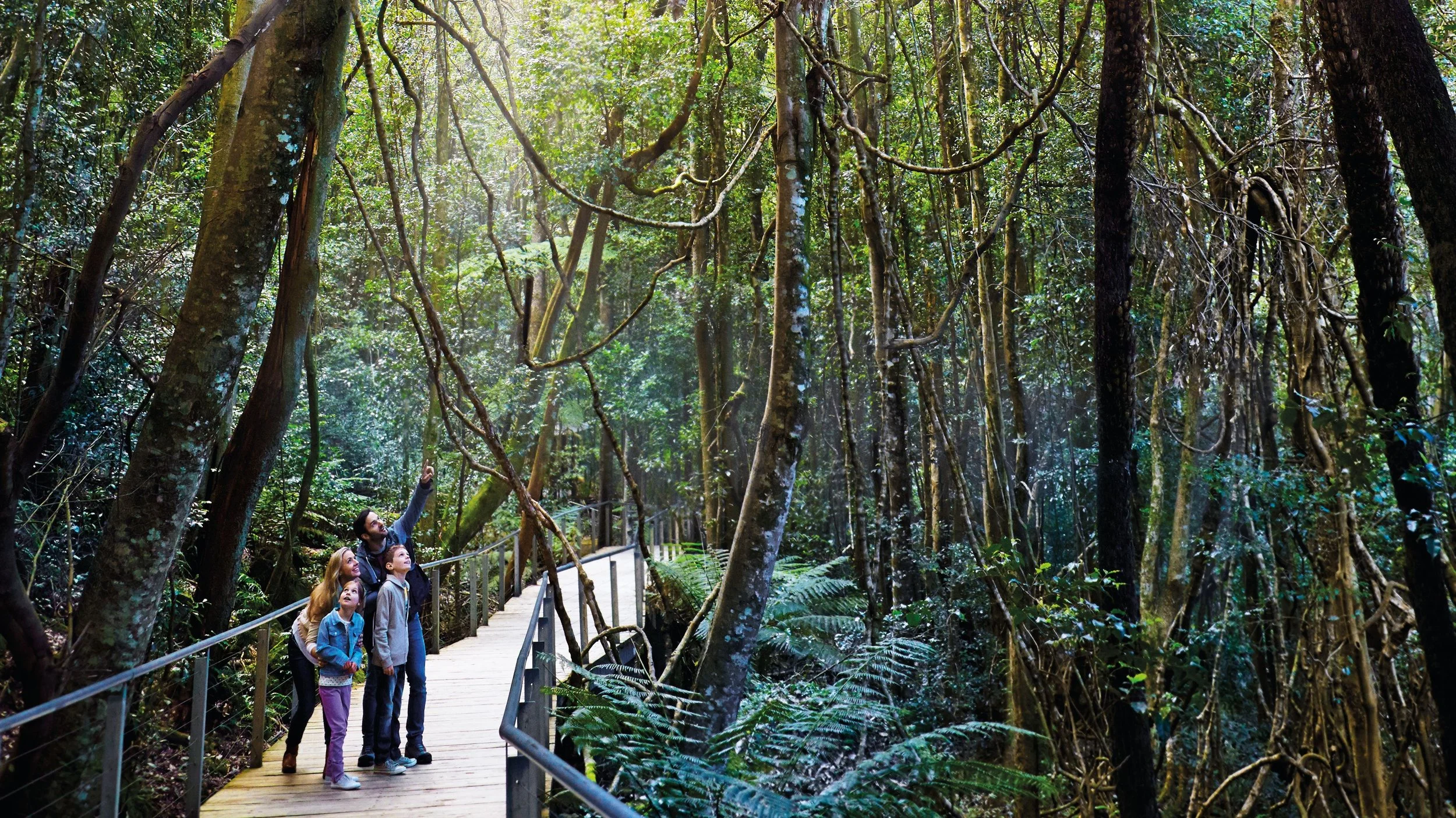 The walkway at the bottom of the valley at Scenic World, Blue Mountains