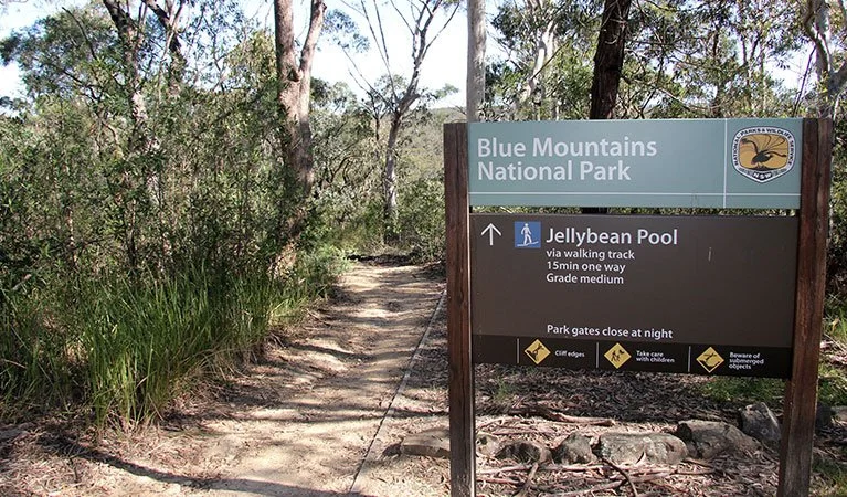 Jelly Bean Pool Track, Glenbrook