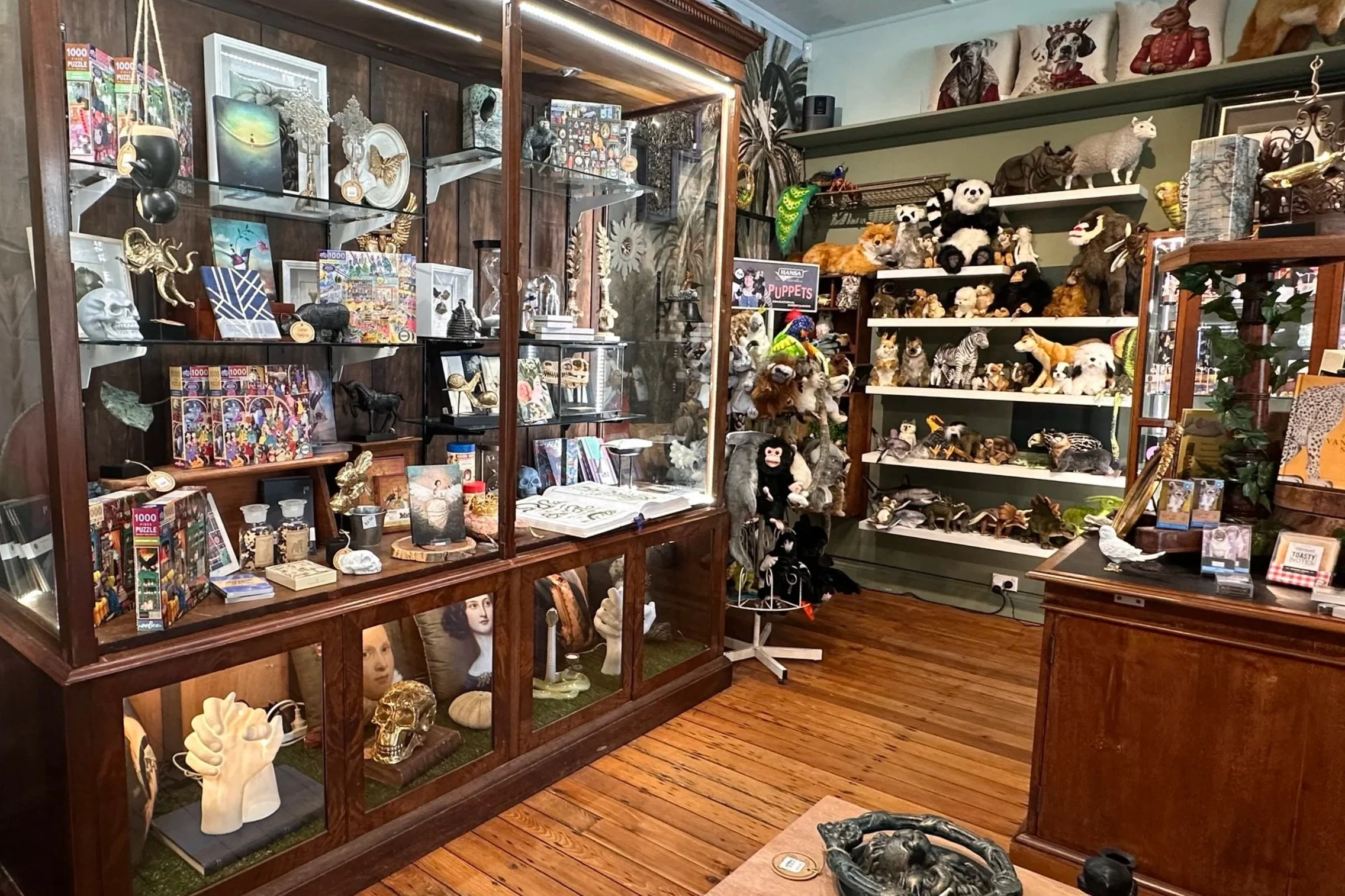 Cabinet of Curiosities, Leura