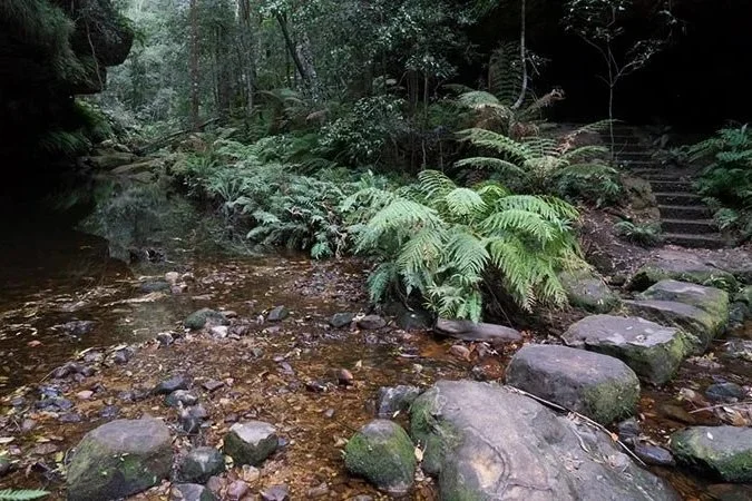 Grand Canyon Track, Blackheath