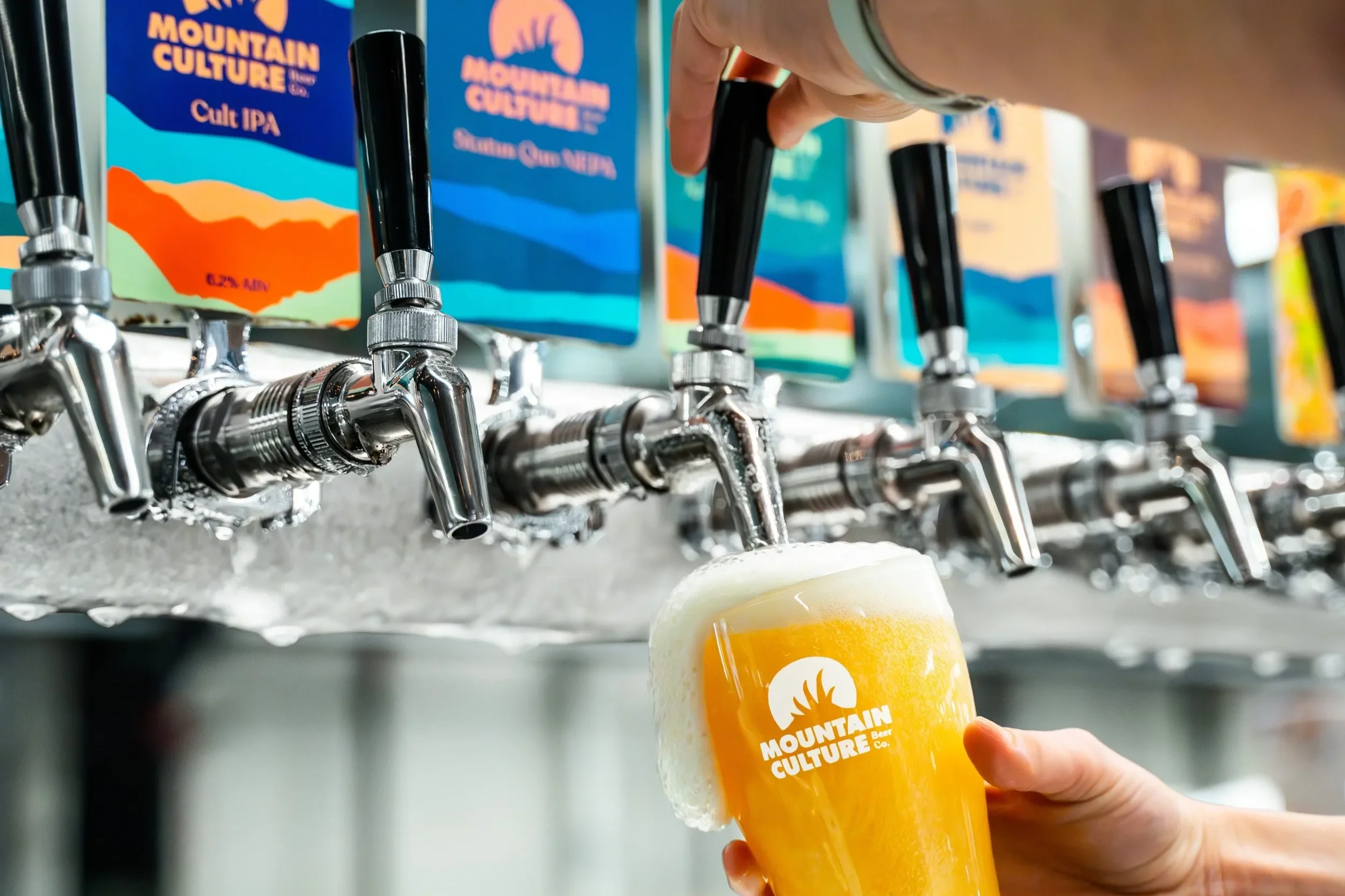 Beers on tap at Mountain Culture Katoomba