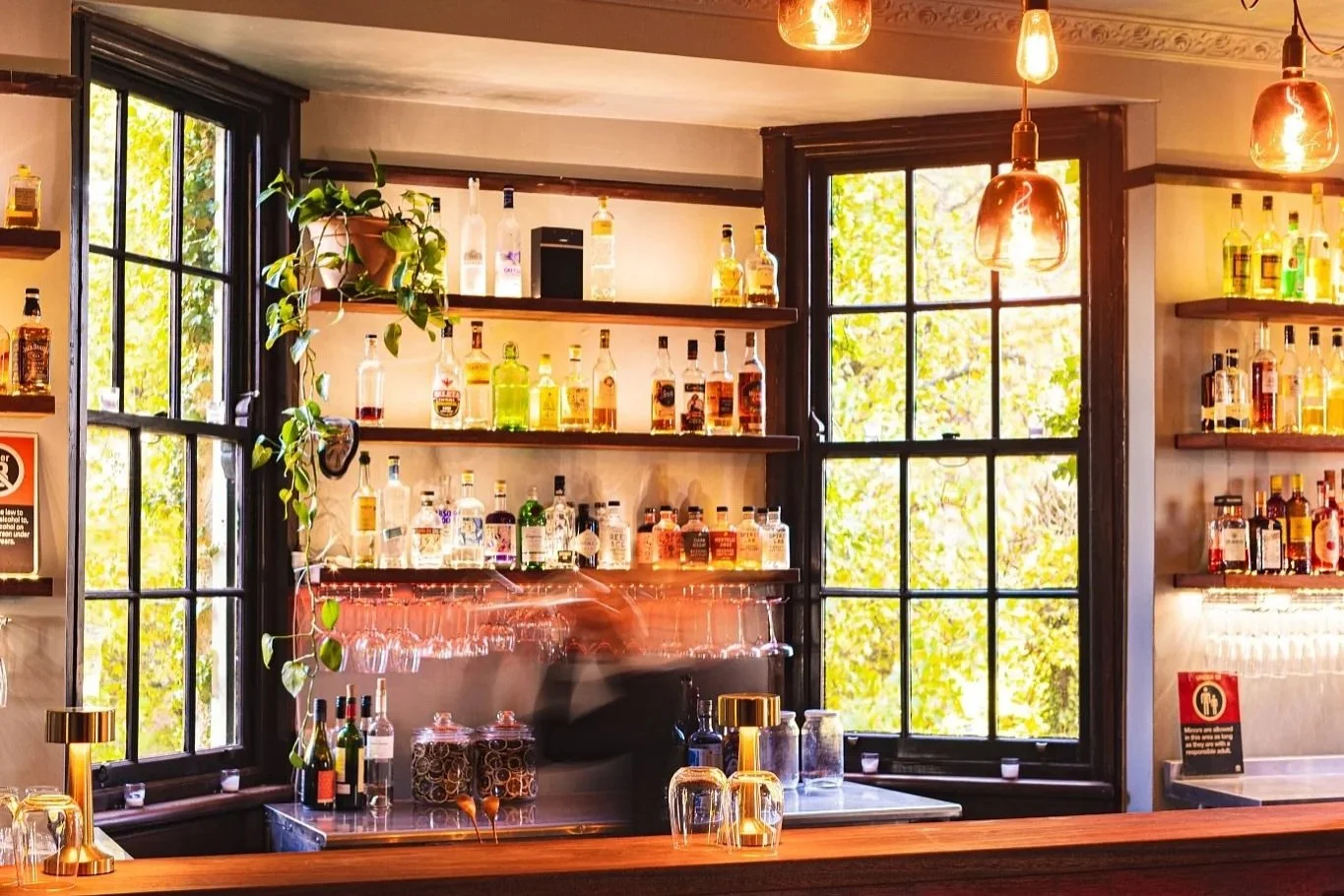 Elysian Bar, Leura