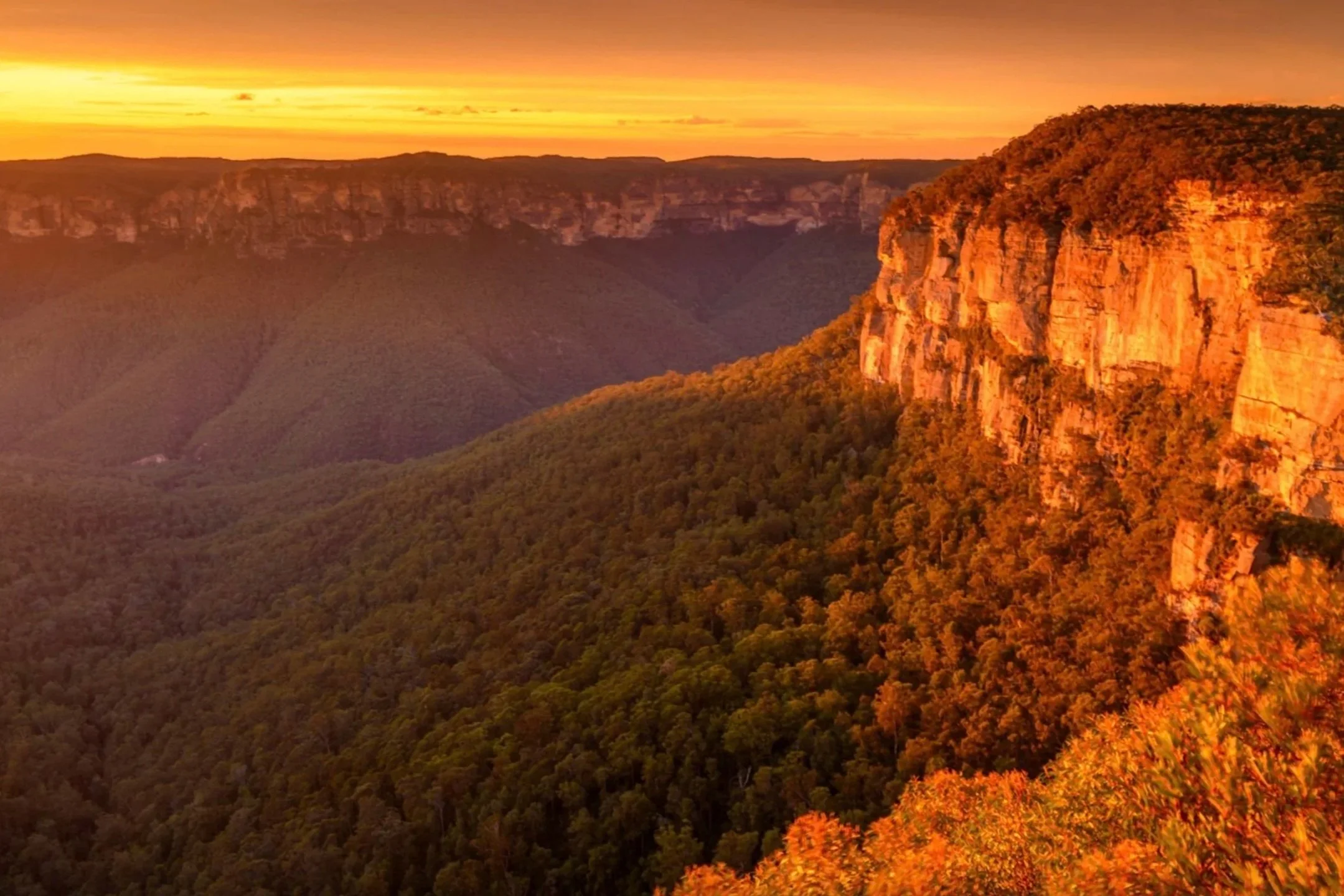 Catch an Epic Sunset