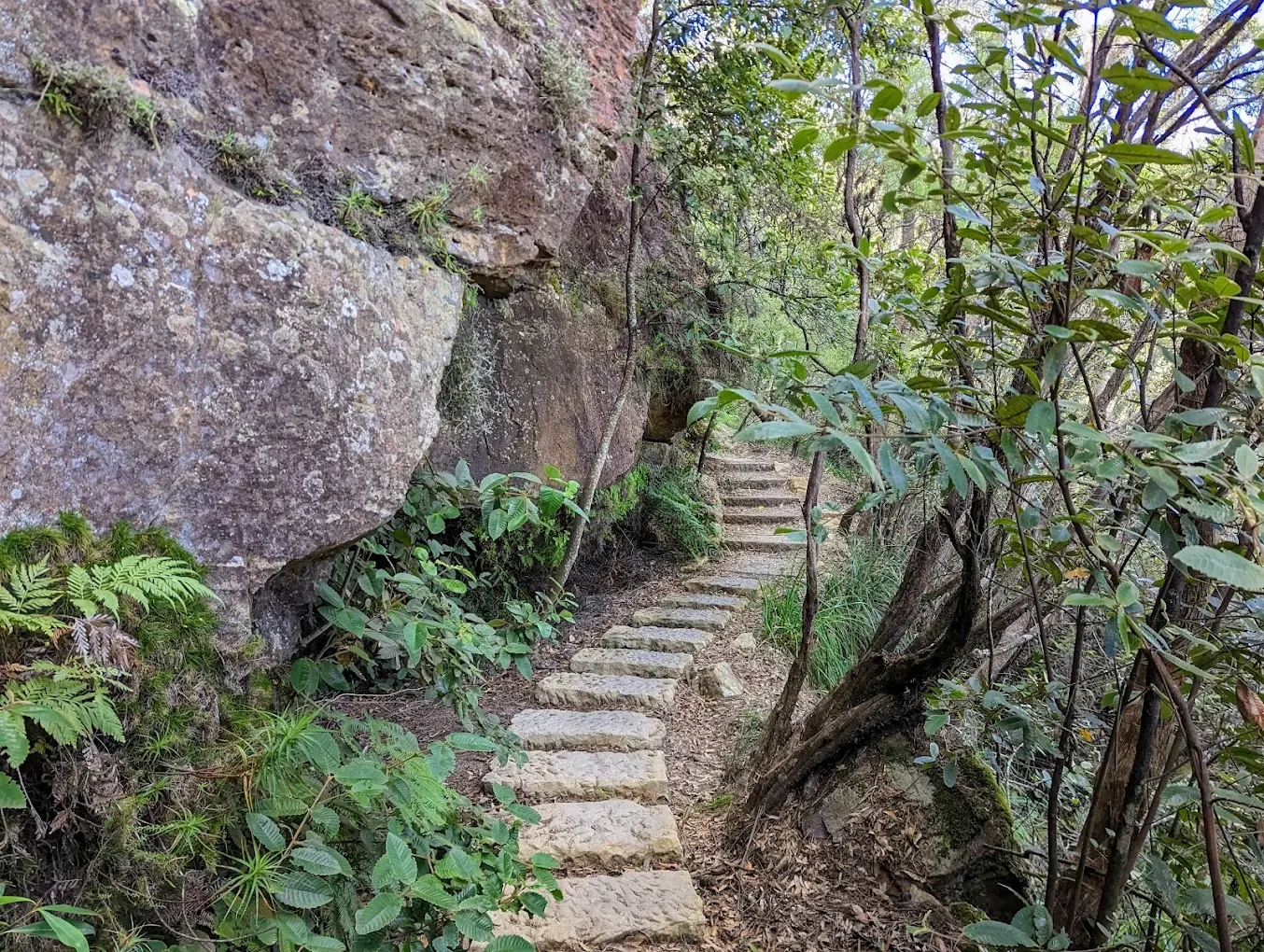 Overcliff Undercliff Track, Wentworth Falls