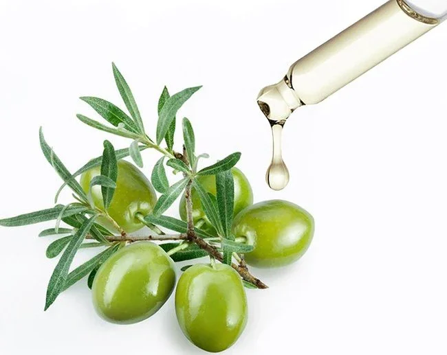 Green olives on a branch with leaves, with a dropper dropping oil onto the olives.