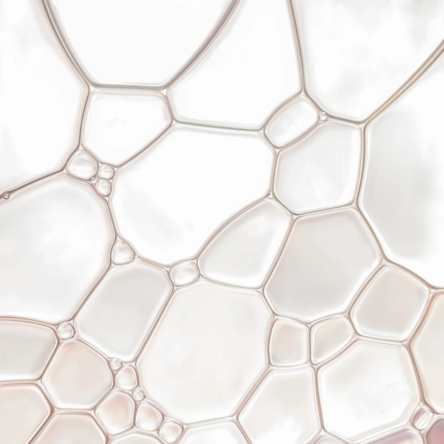 Close-up of soap bubbles forming a network of hexagonal and irregular shapes with a white background.