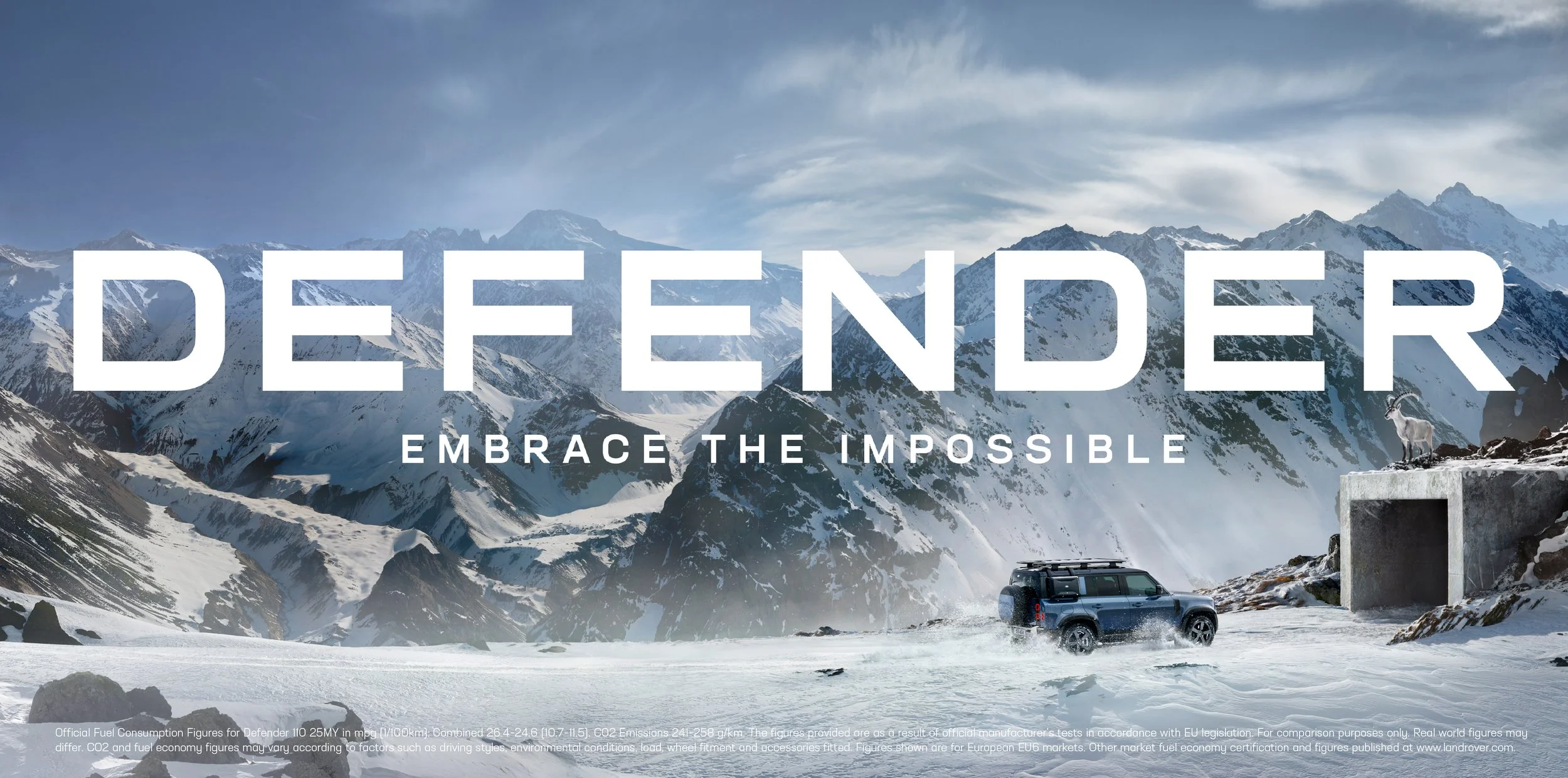 Defender Andes 48 sheet Poster