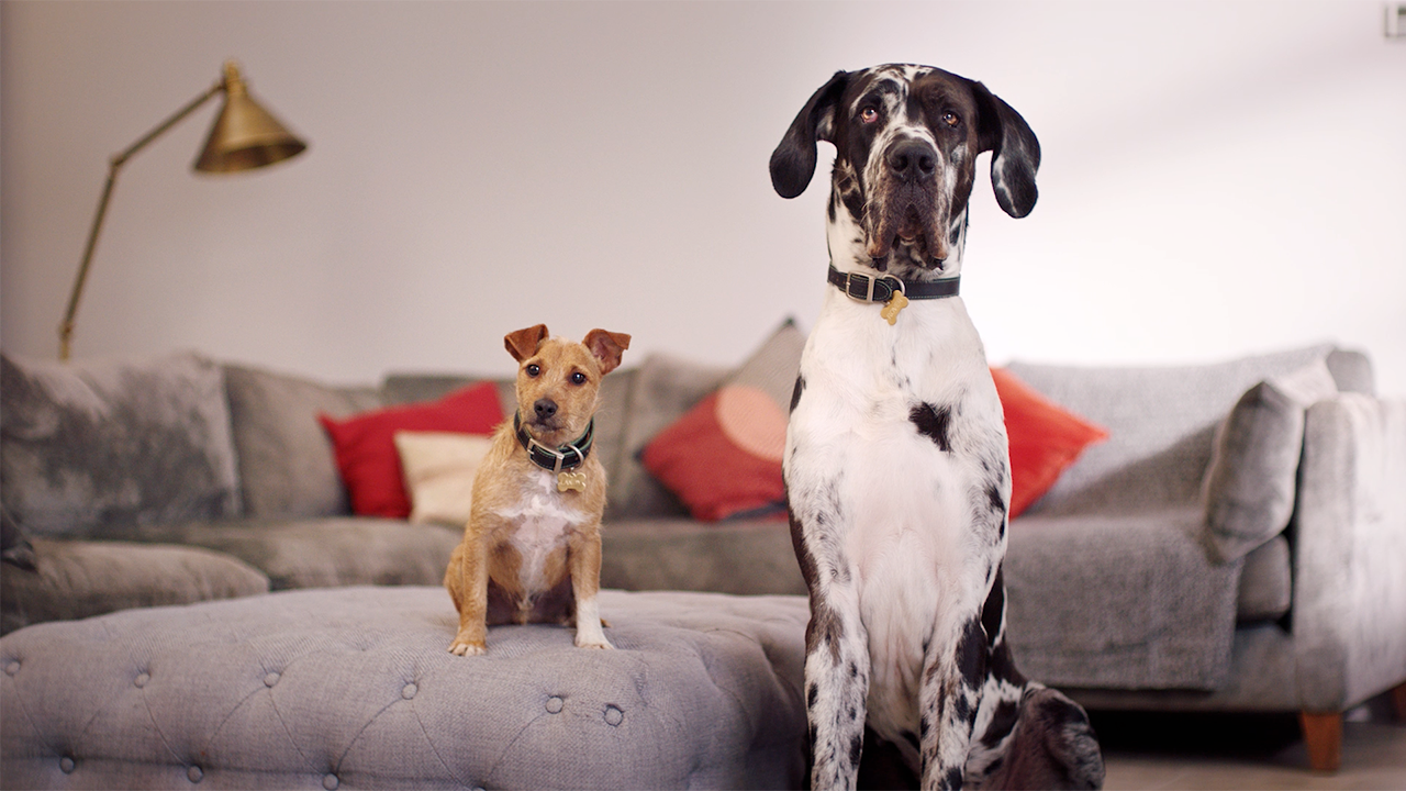 Landy & Rover // Land Rover