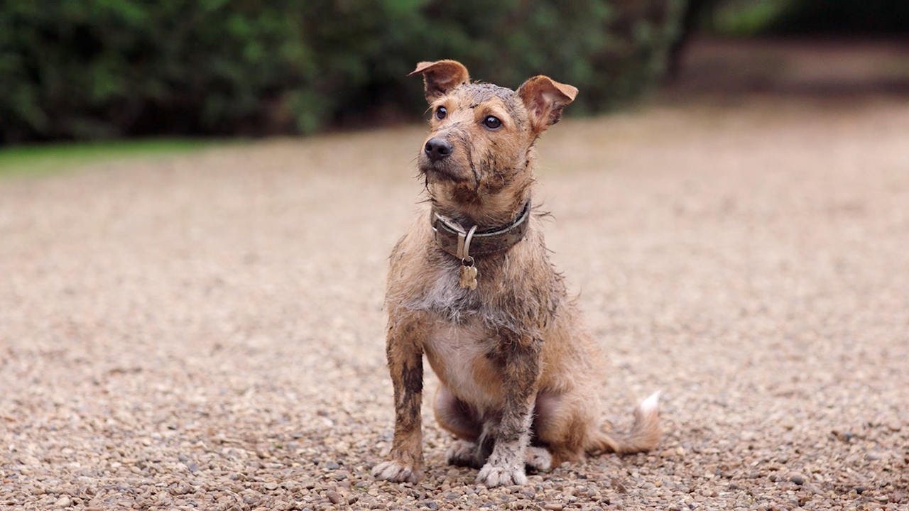 Waterproof tray[1].png