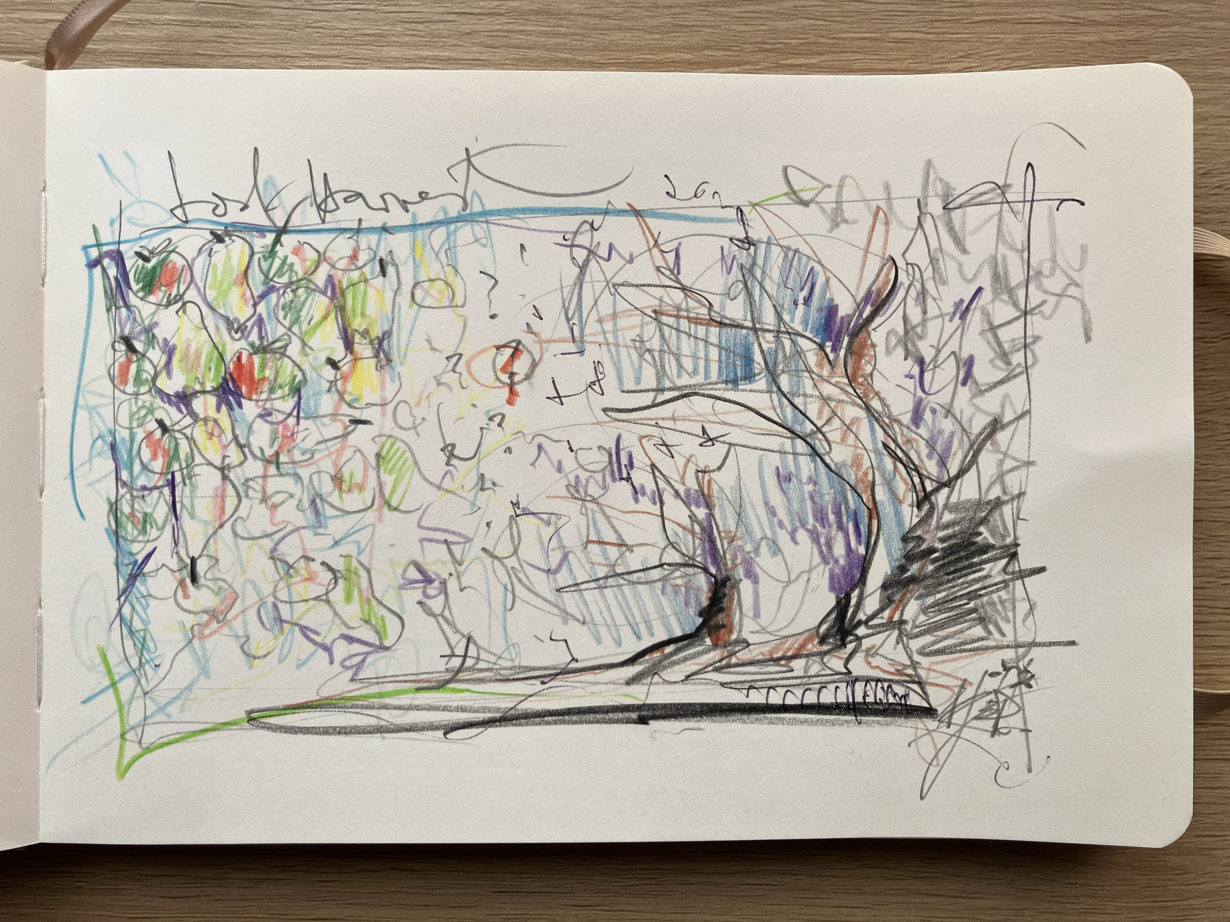 lost harvest . 2026 . 20 x 14cm on paper . pen + pencil (s)