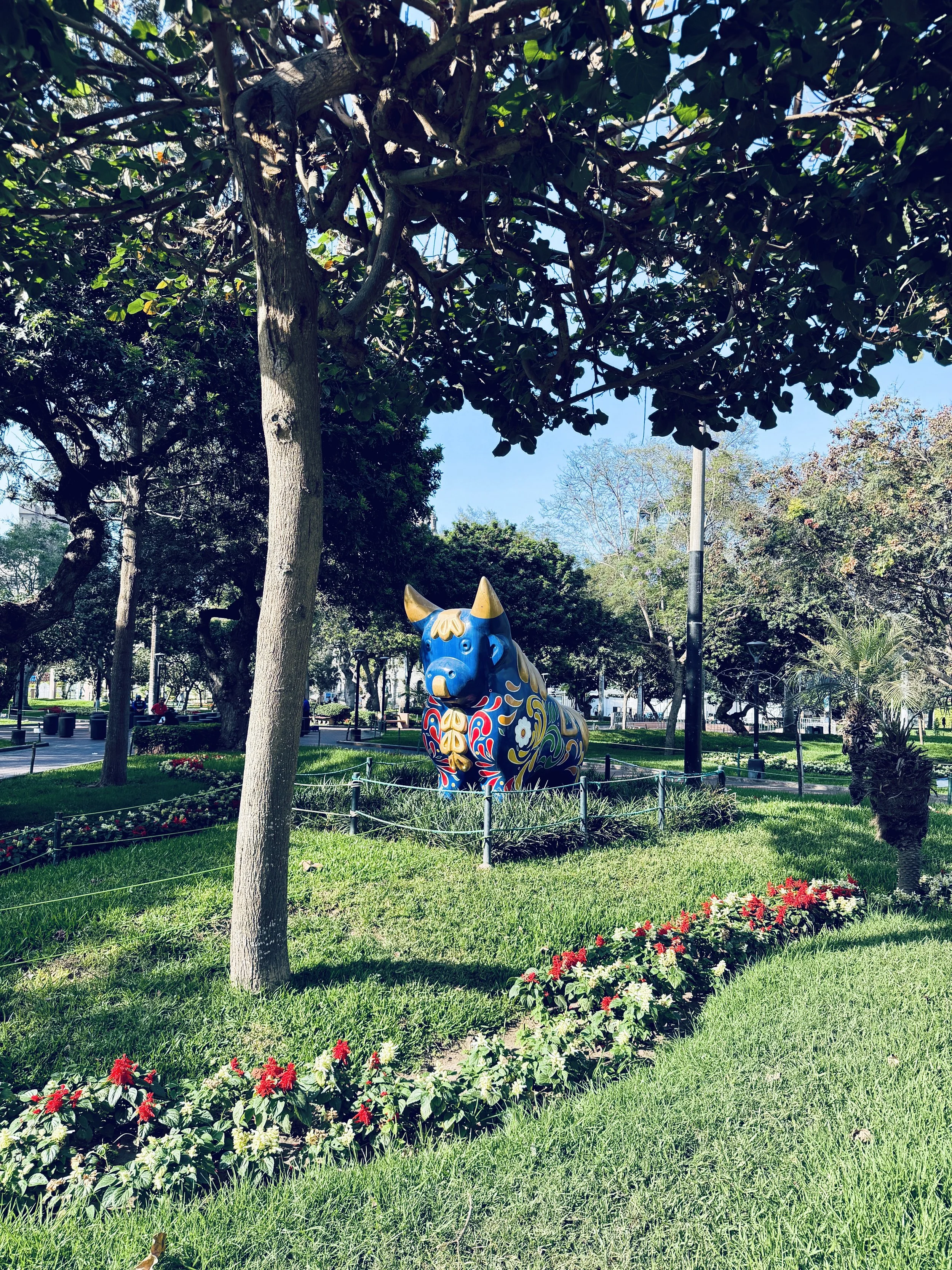 IMG_5038.JPEG