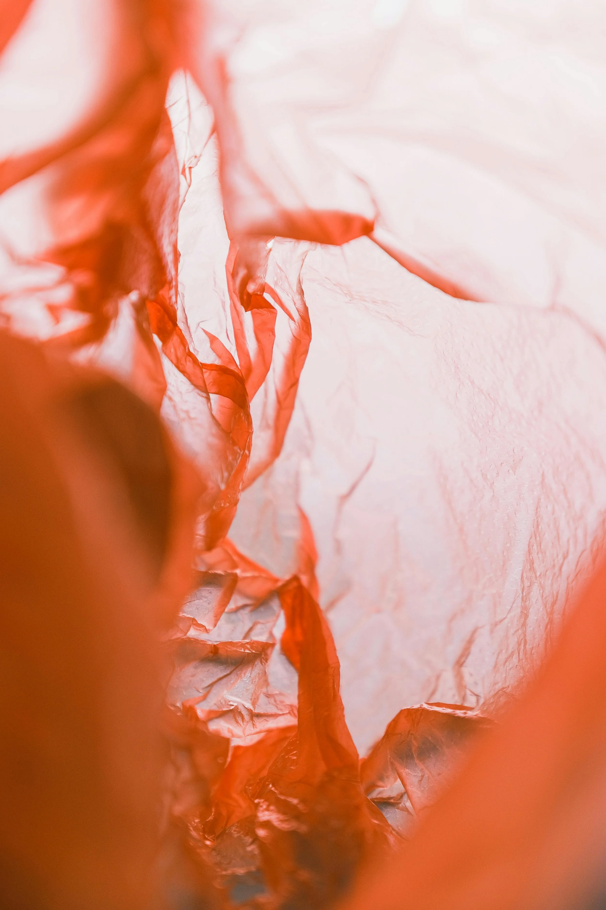 Sacred Womb Journey