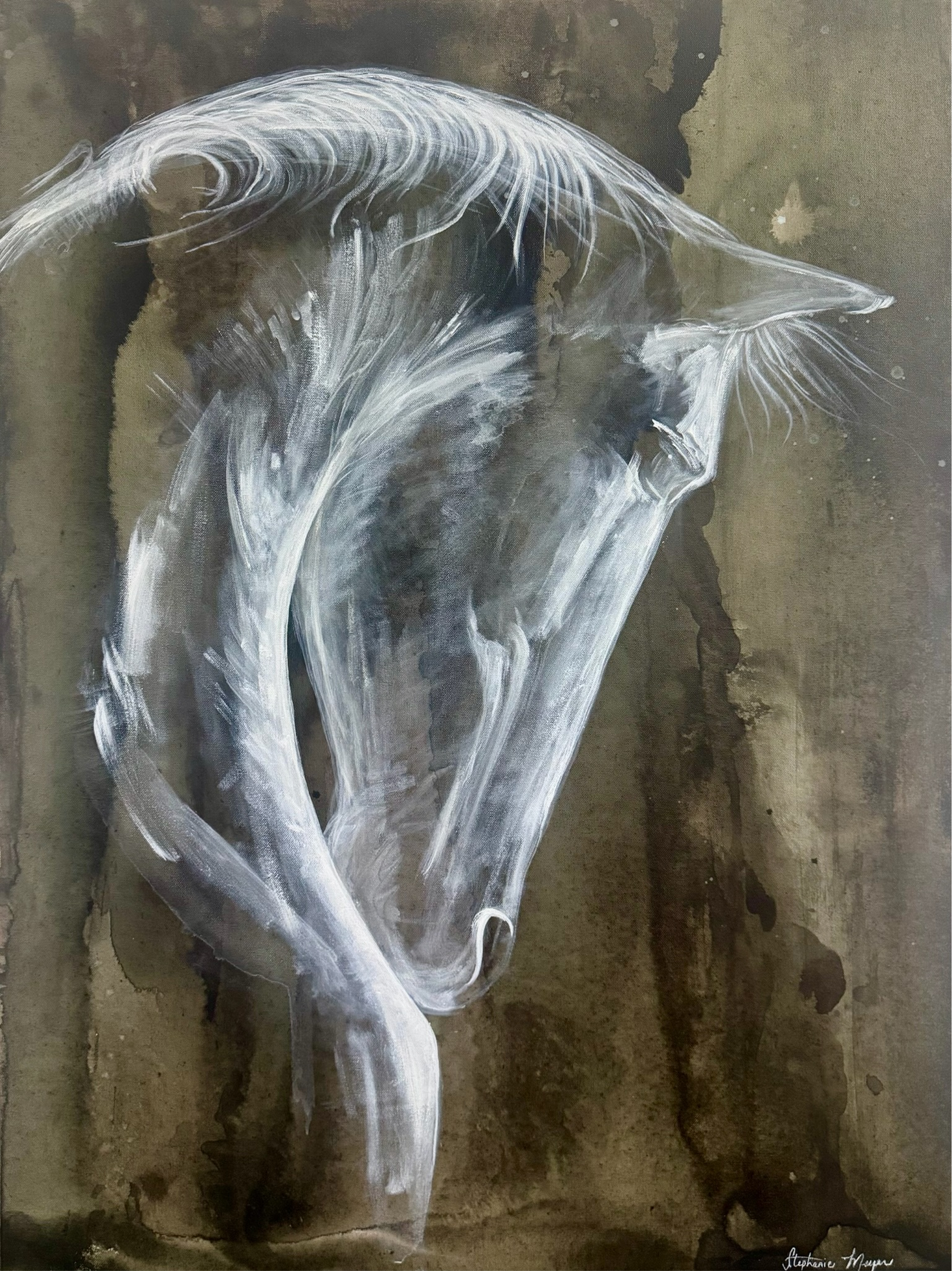 Ghost Horse