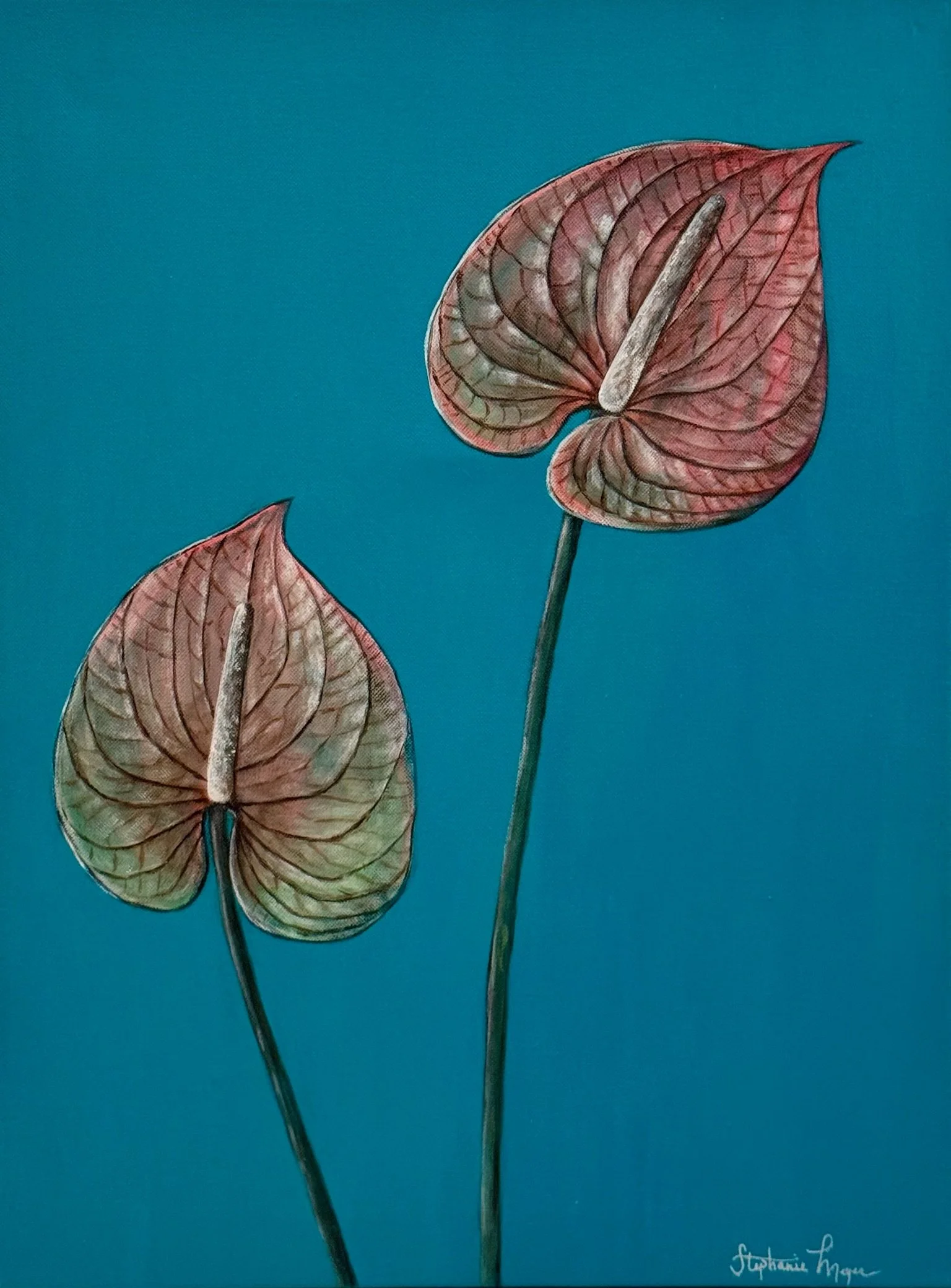 Anthuriums