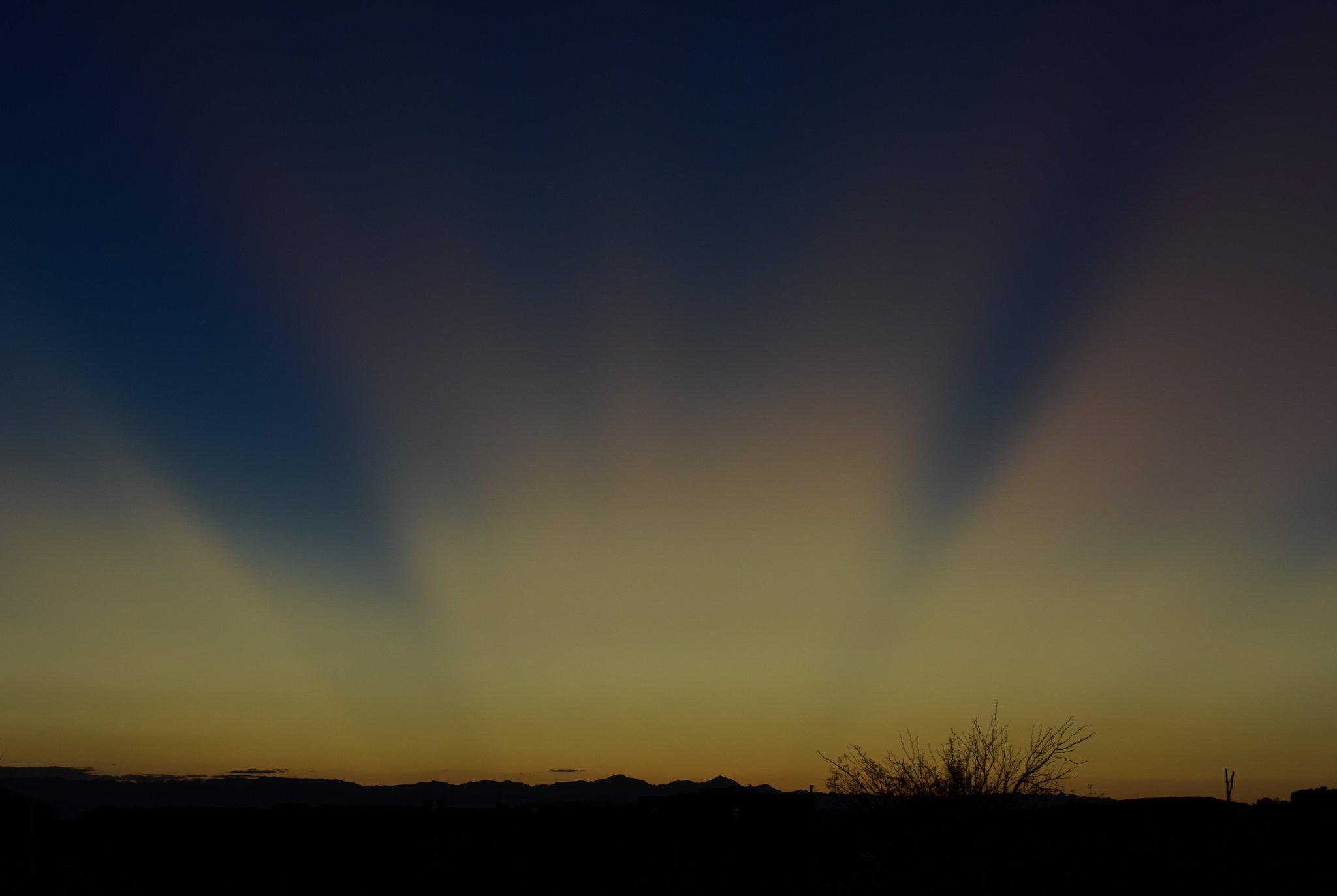 DSC_0511.jpg