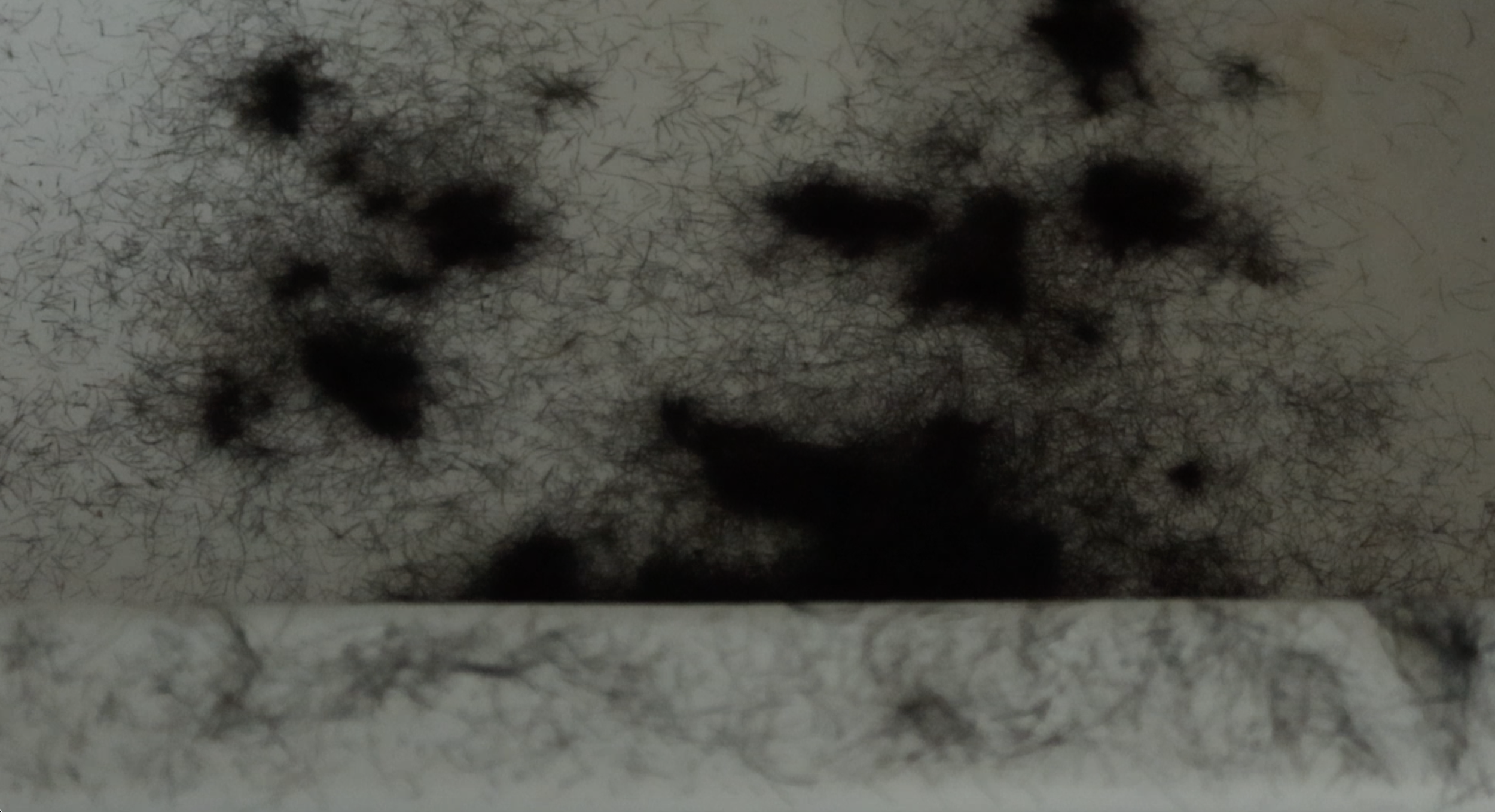 Screenshot 2026-02-15 at 21.53.10.png