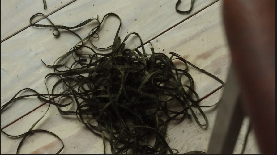 Screenshot 2024-10-24 at 16.57.46.png