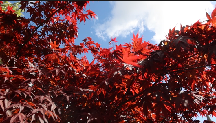 Screenshot 2024-10-10 at 11.58.48.png