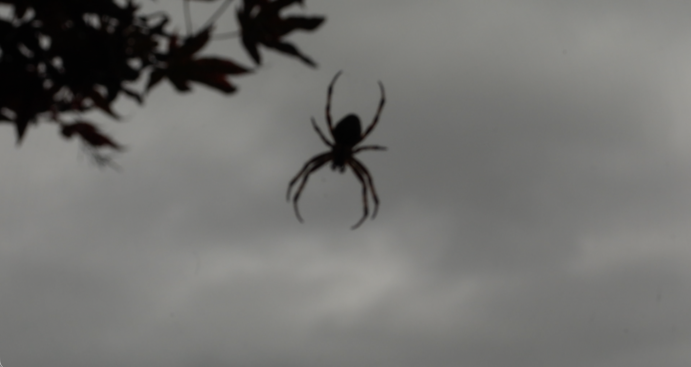 Screenshot 2026-02-15 at 21.07.10.png