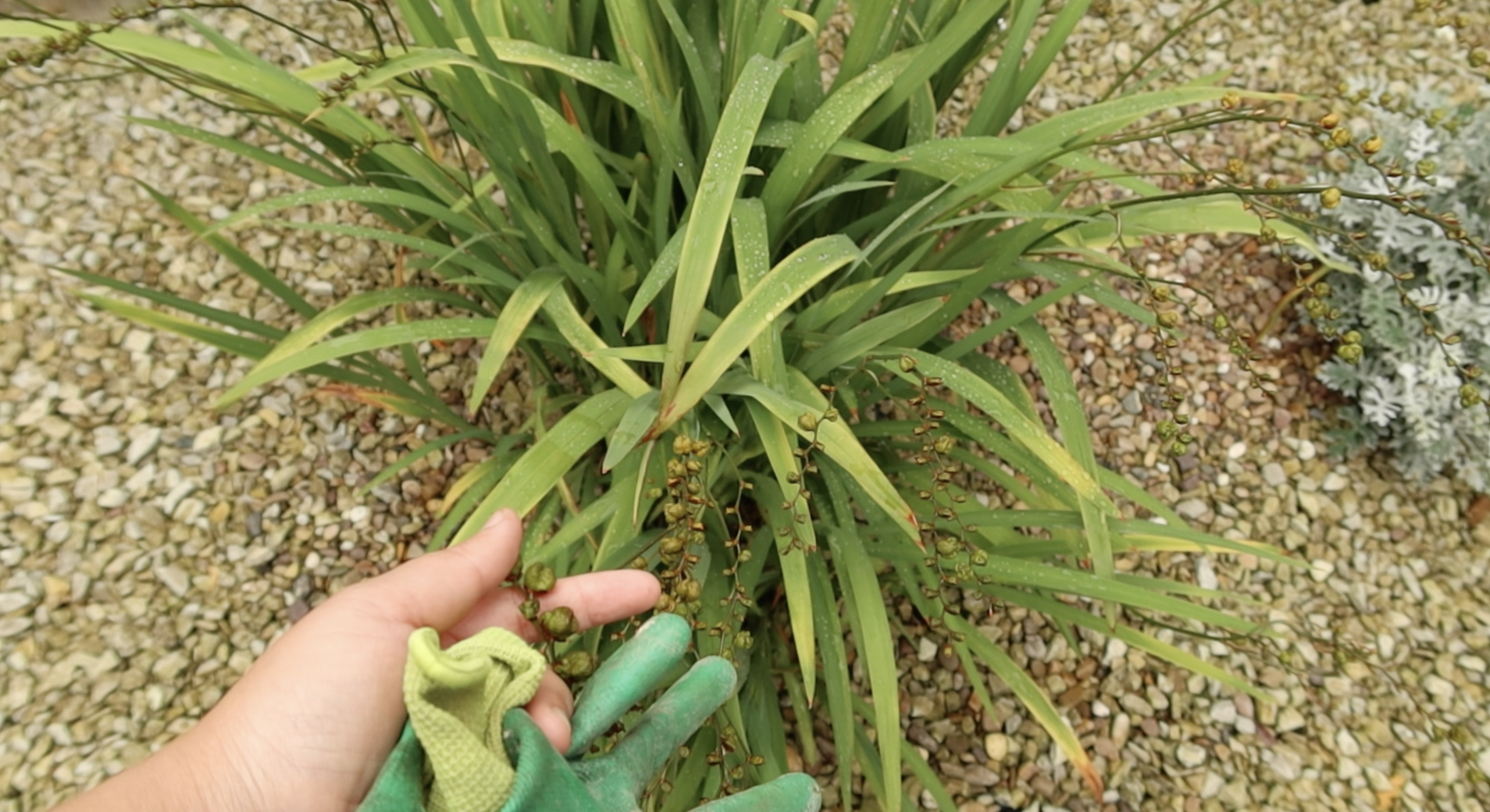 Screenshot 2026-02-16 at 21.03.34.png