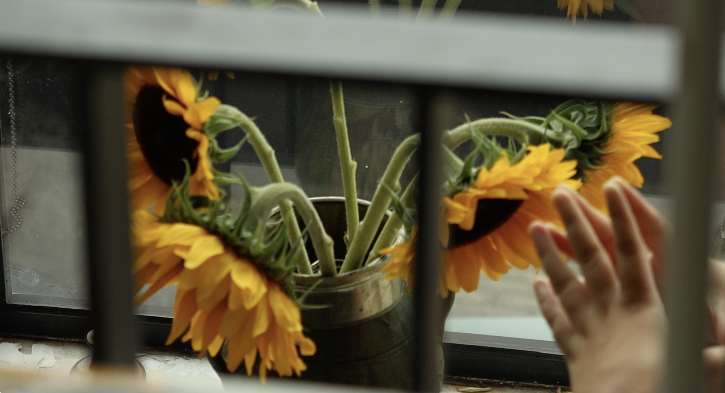 Screenshot 2026-02-15 at 21.11.49.png