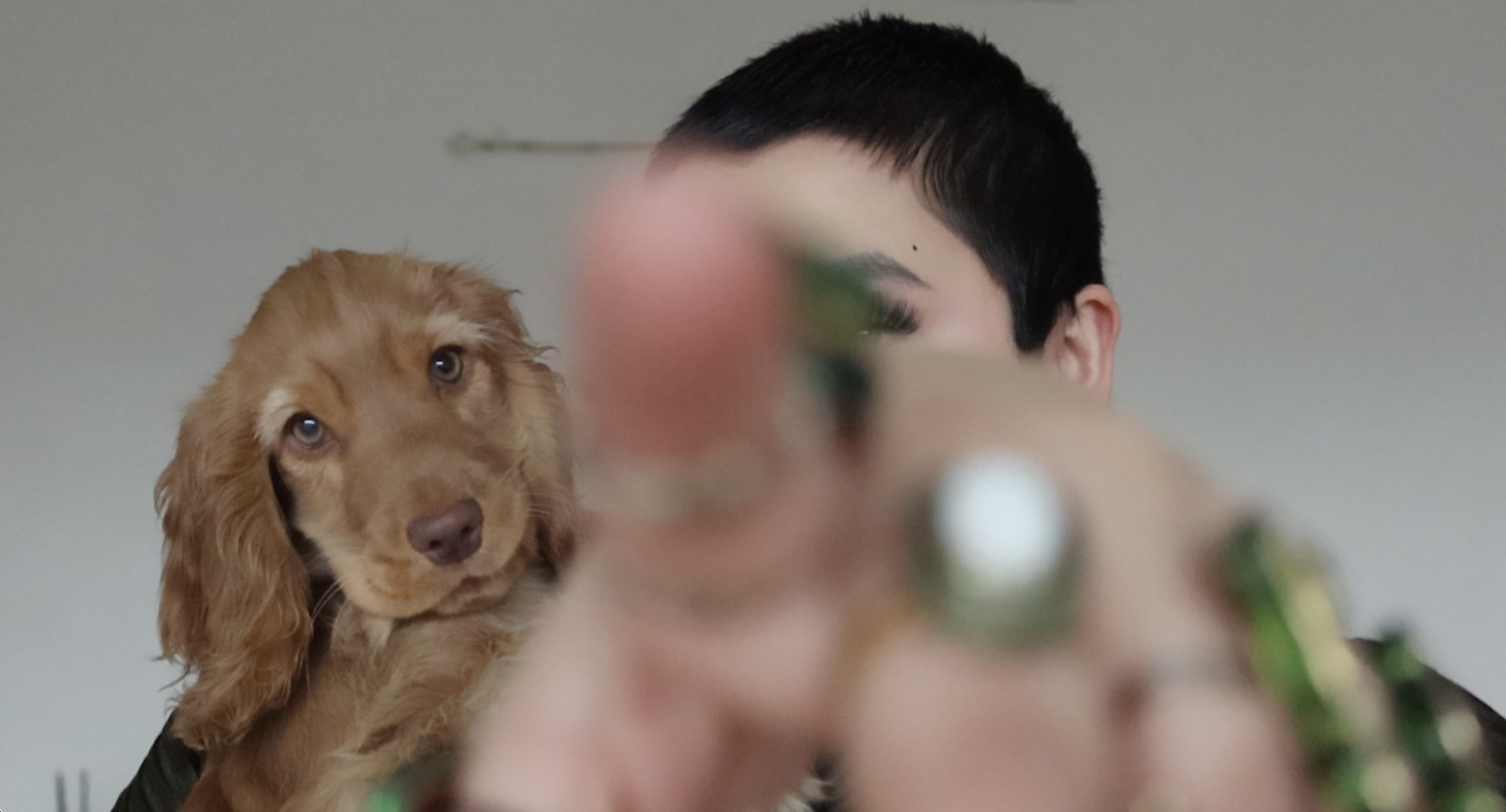 Screenshot 2026-02-15 at 21.46.17.png