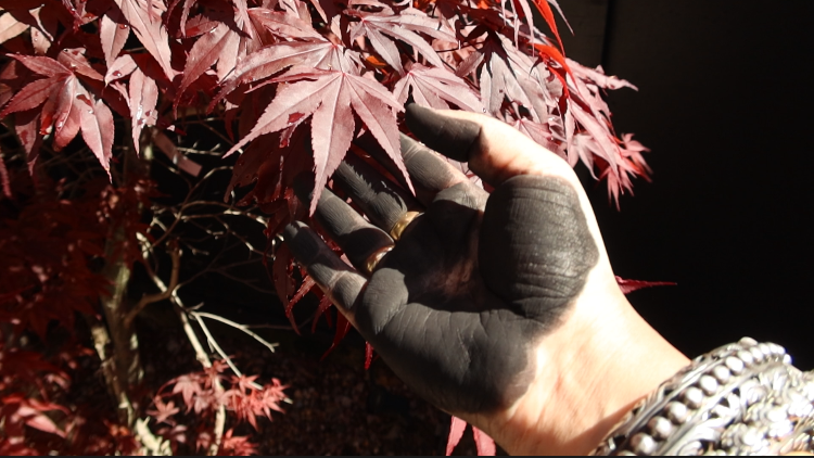 Screenshot 2024-10-10 at 12.00.09.png